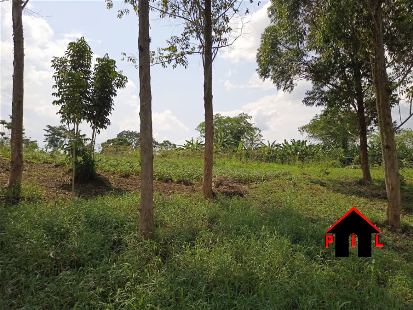 Agricultural Land for sale in Kasanjje Wakiso