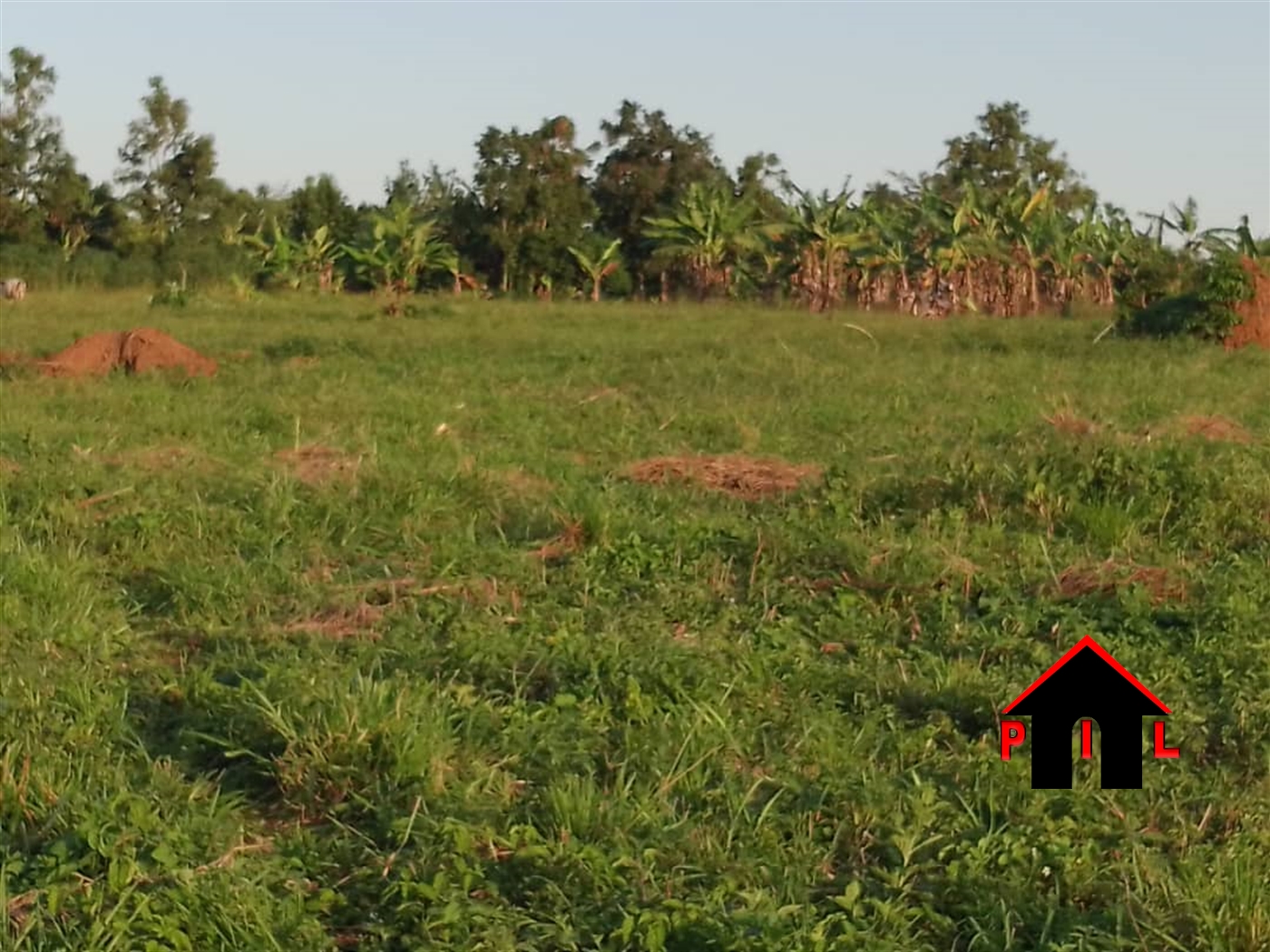 Agricultural Land for sale in Senyi Mukono