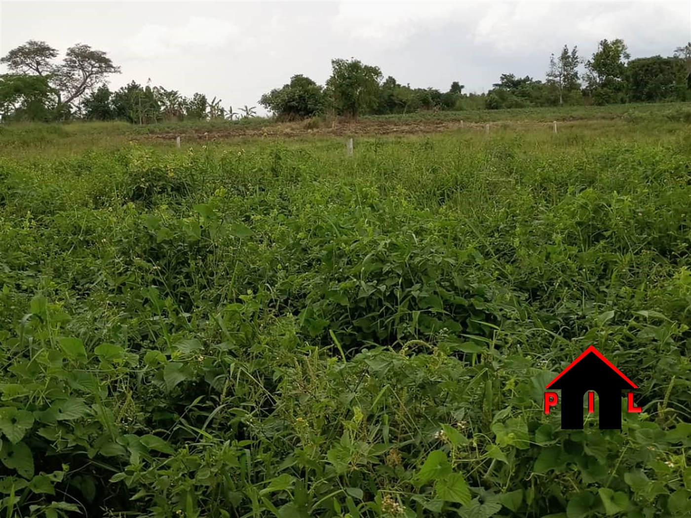 Agricultural Land for sale in Busagazi Luweero