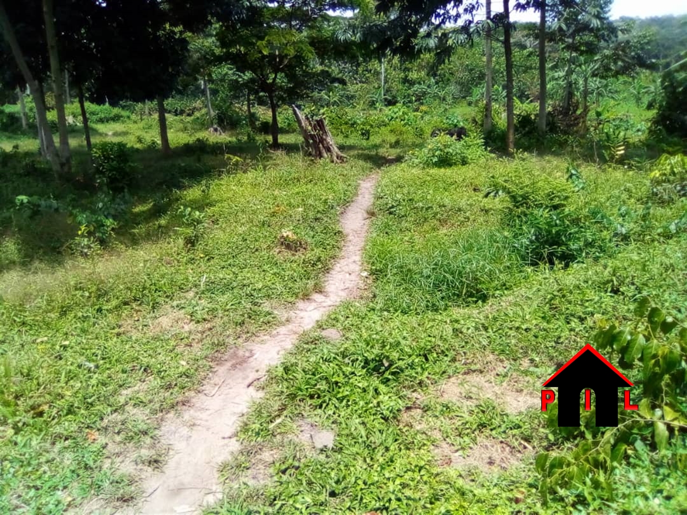Agricultural Land for sale in Mabuye Luweero
