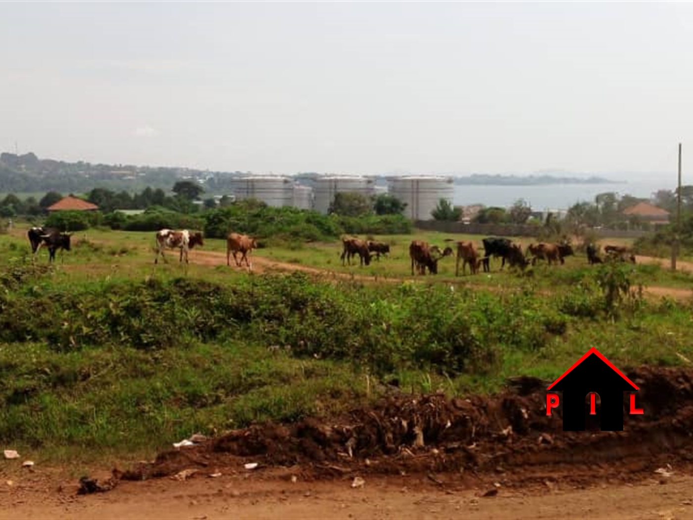 Agricultural Land for sale in Mabuye Luwero