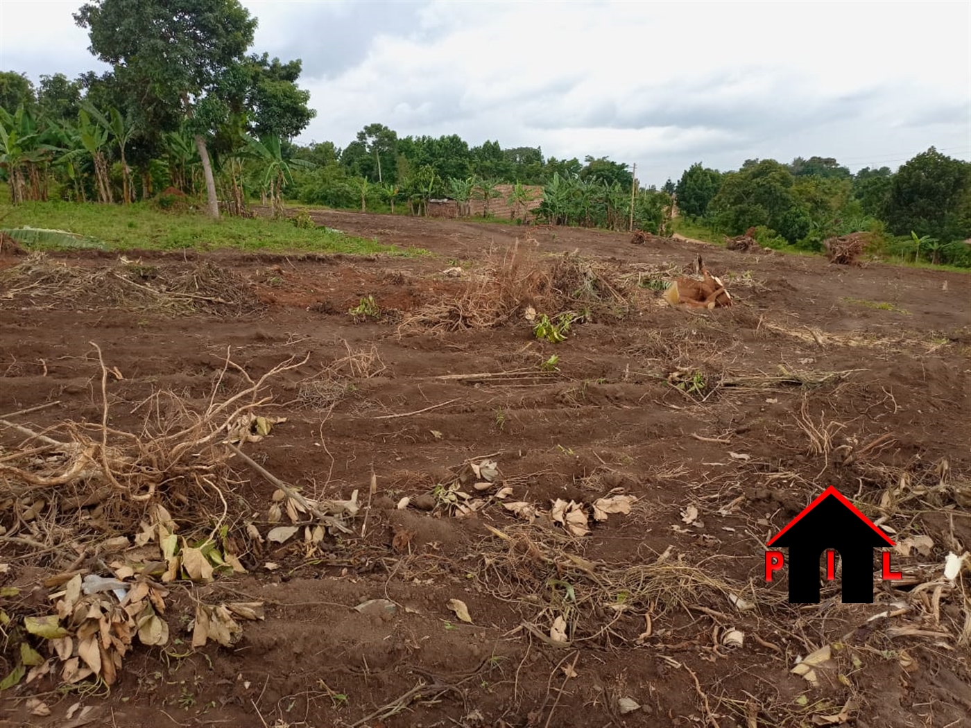 Agricultural Land for sale in Manywa Luweero
