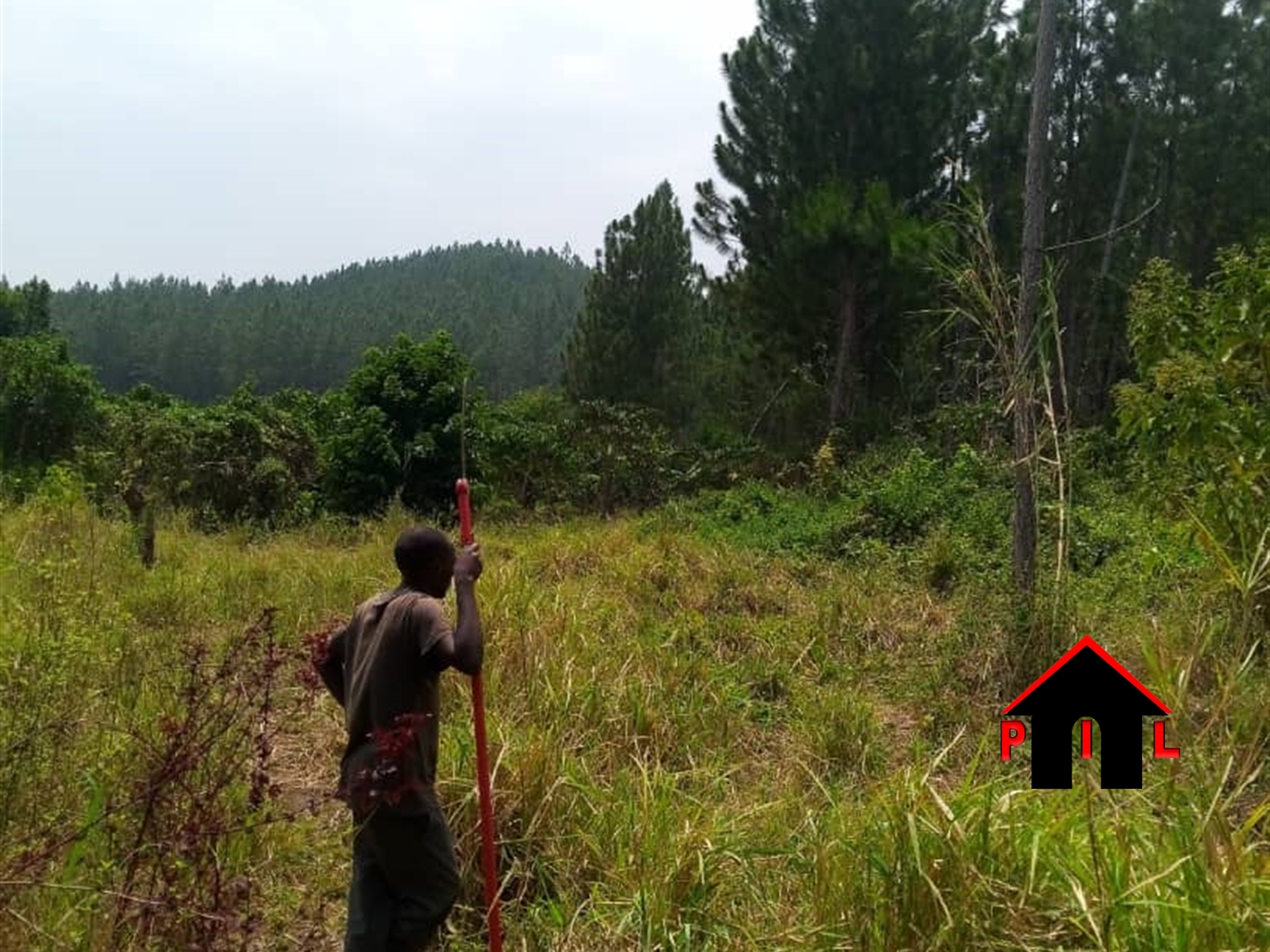 Agricultural Land for sale in Kiwoko Nakaseke