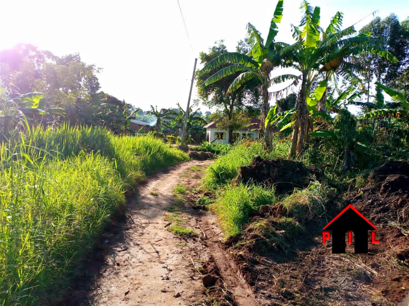 Residential Land for sale in Kiwawu Mityana