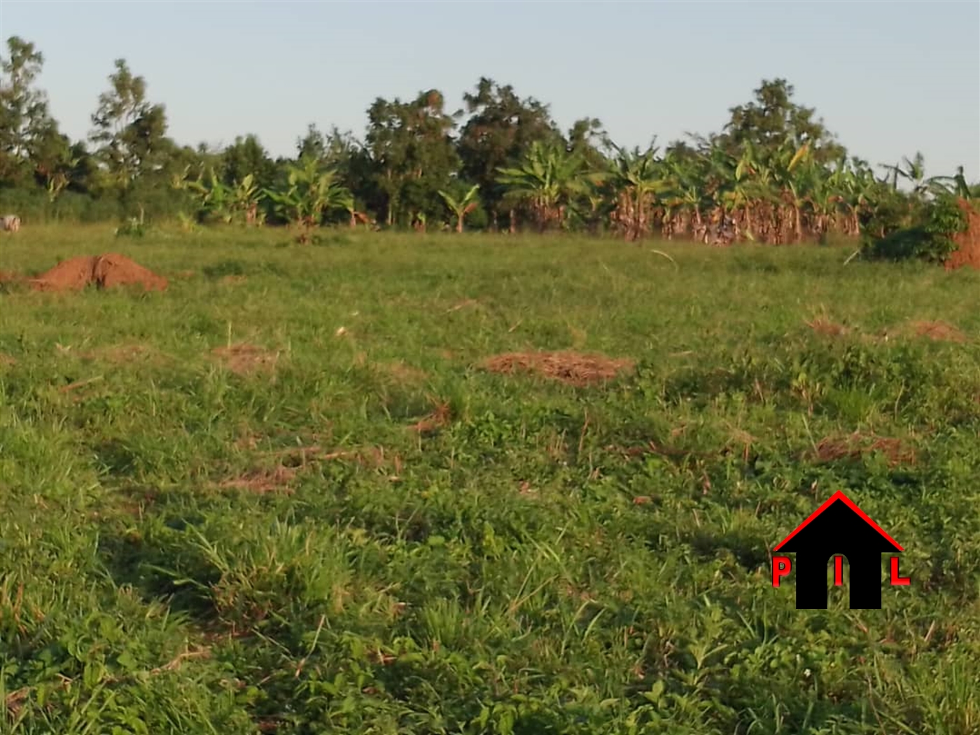 Agricultural Land for sale in Kigumya Luweero