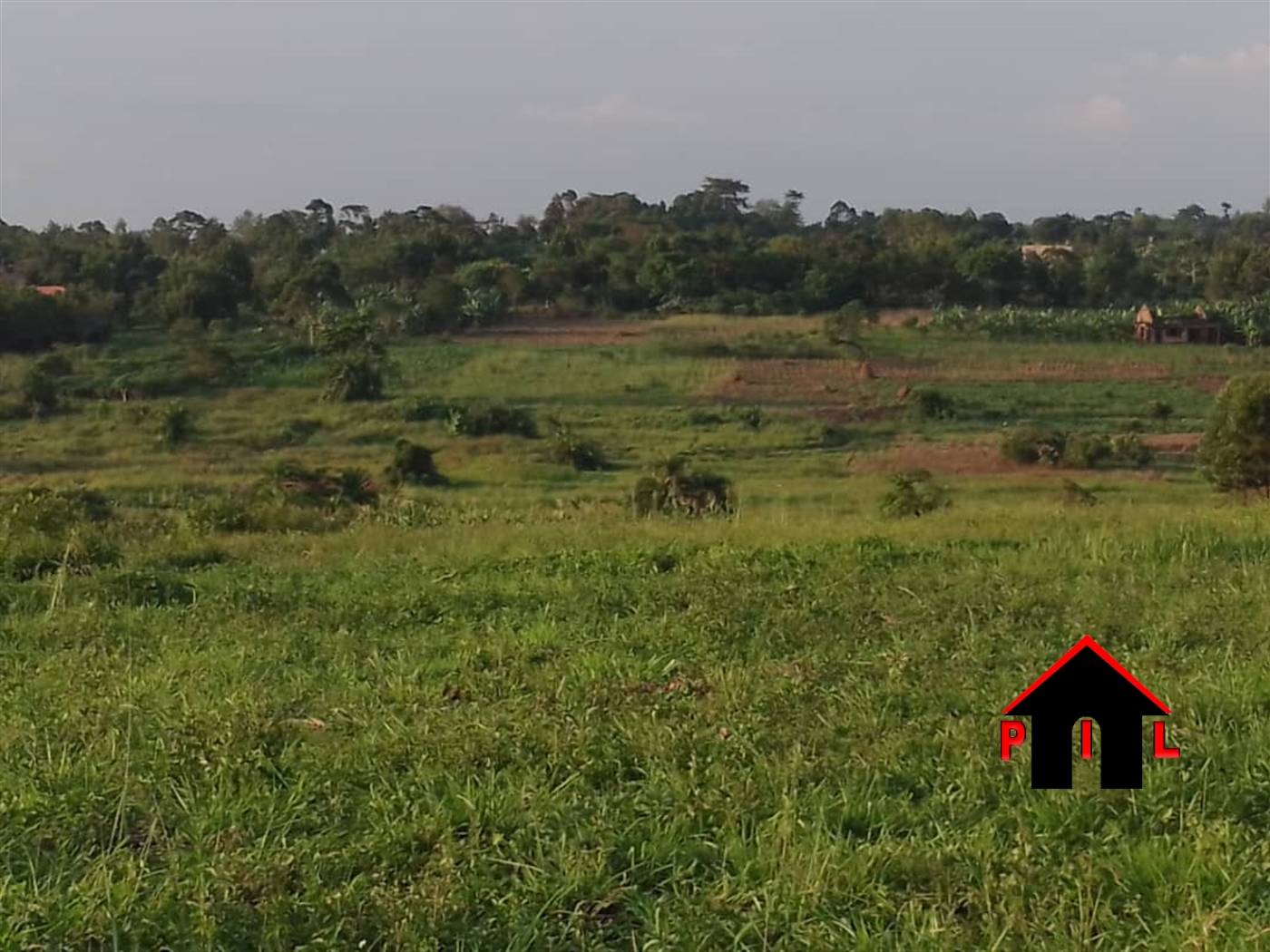 Agricultural Land for sale in Lukiizi Luweero