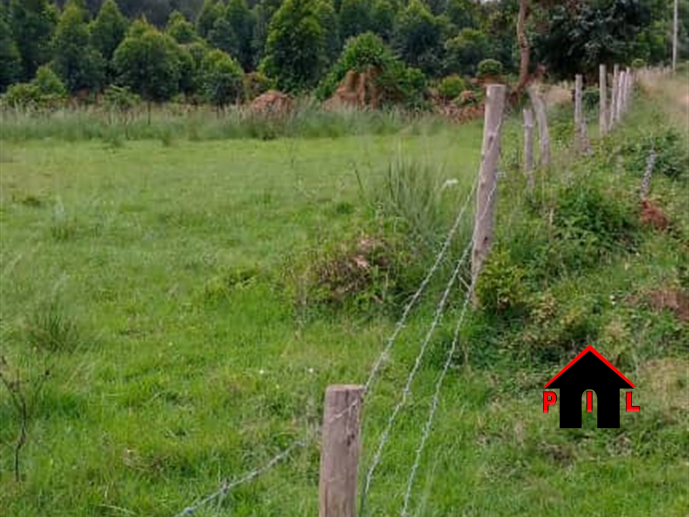 Agricultural Land for sale in Lukiizi Luweero