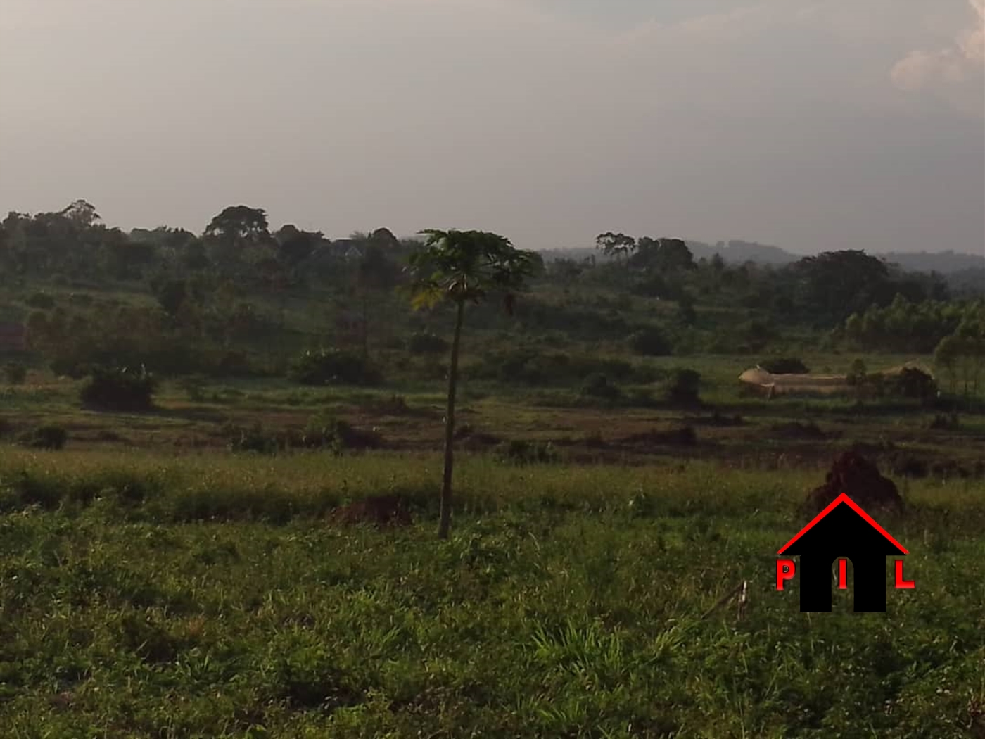 Agricultural Land for sale in Kakuuto Luweero