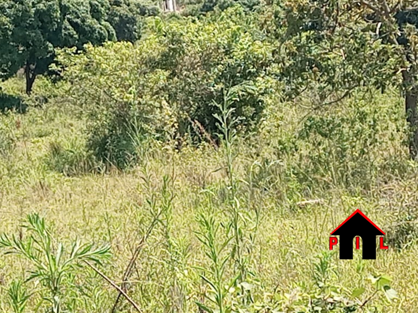 Agricultural Land for sale in Kigombe Luwero