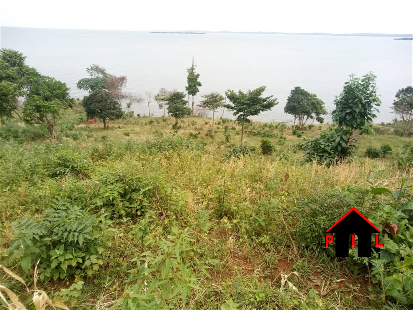 Agricultural Land for sale in Nyimu Buyikwe