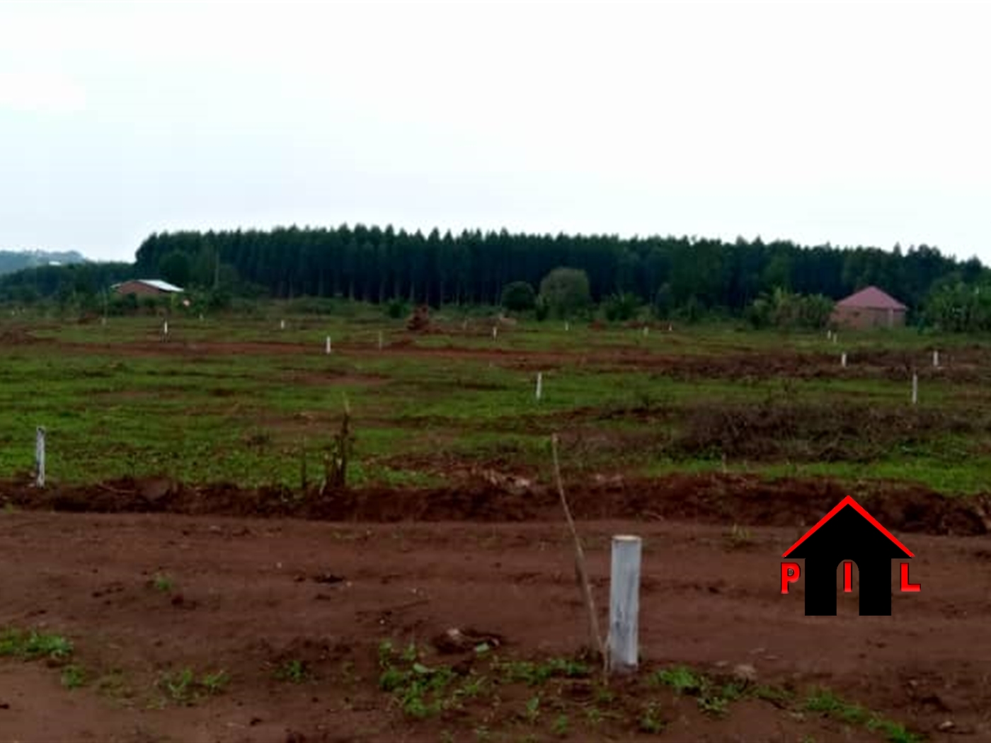 Agricultural Land for sale in Ndibulungi Luwero