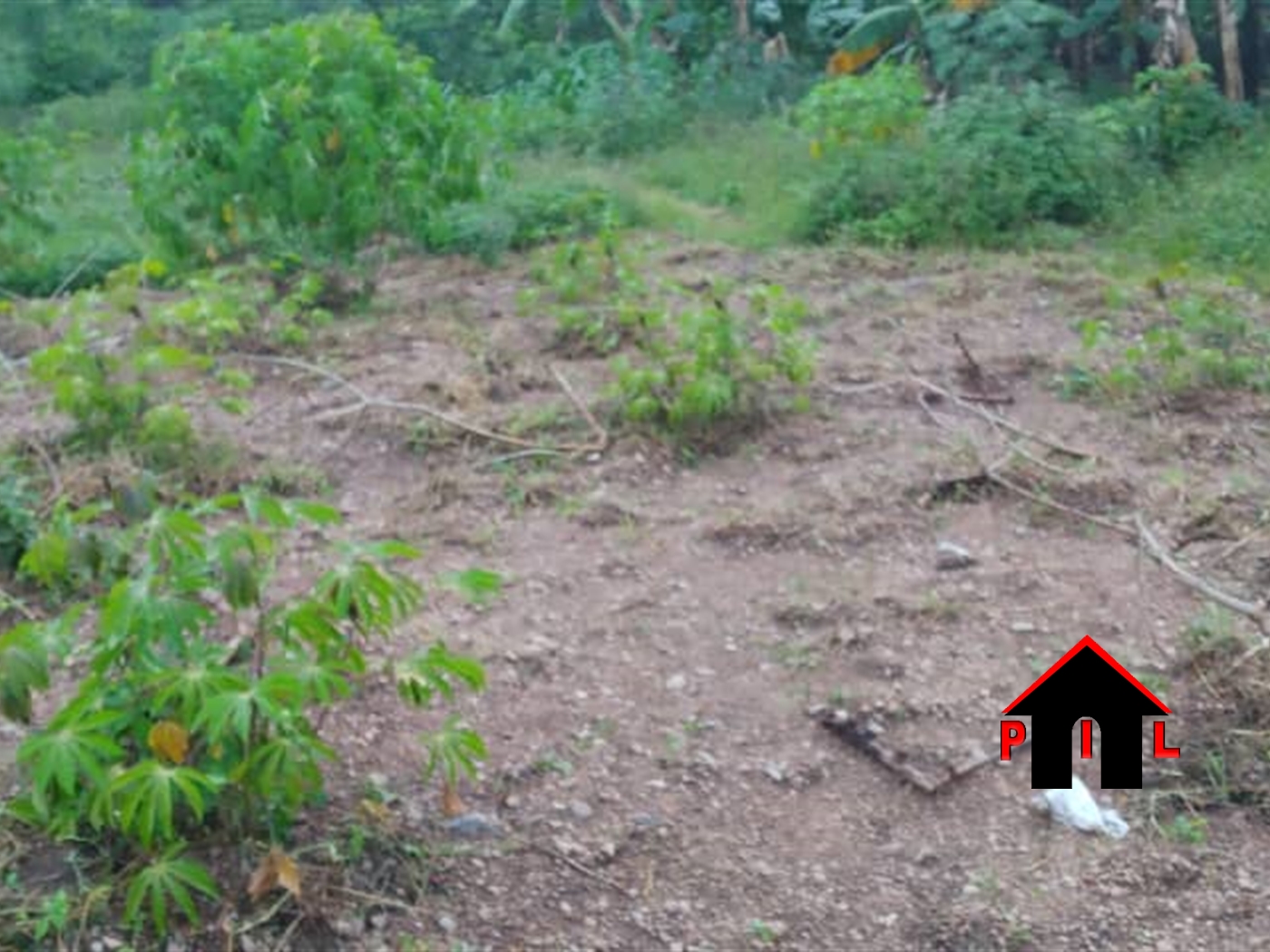 Residential Land for sale in Sonde Wakiso