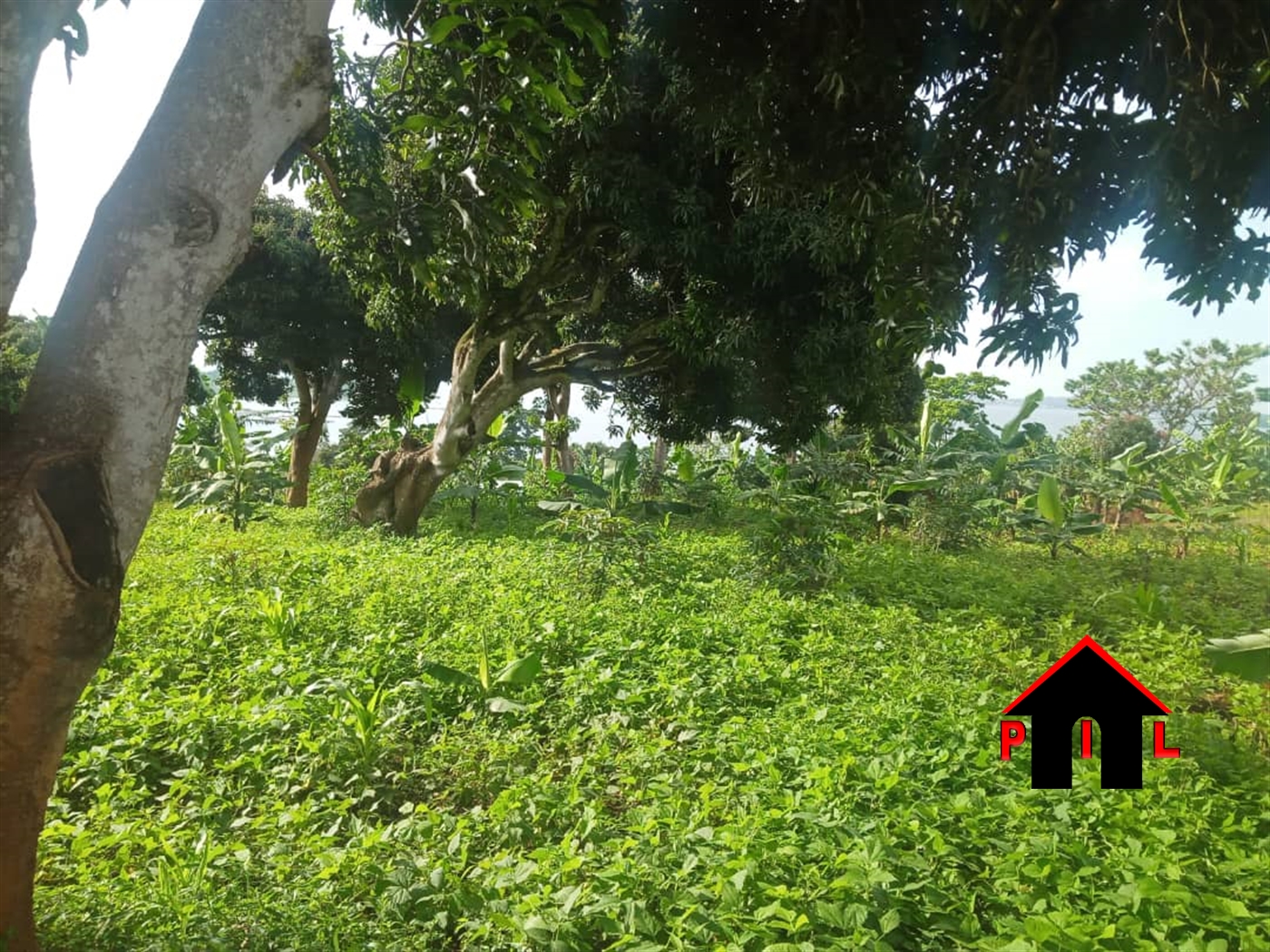 Residential Land for sale in Bukasa Wakiso