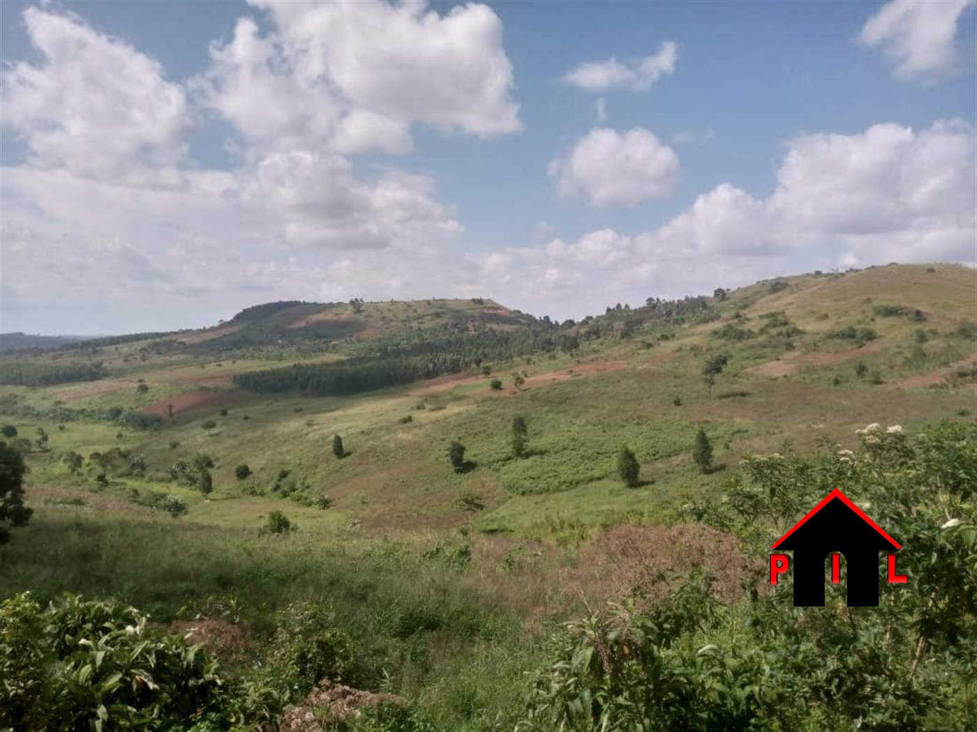 Commercial Land for sale in Ntinda Kampala