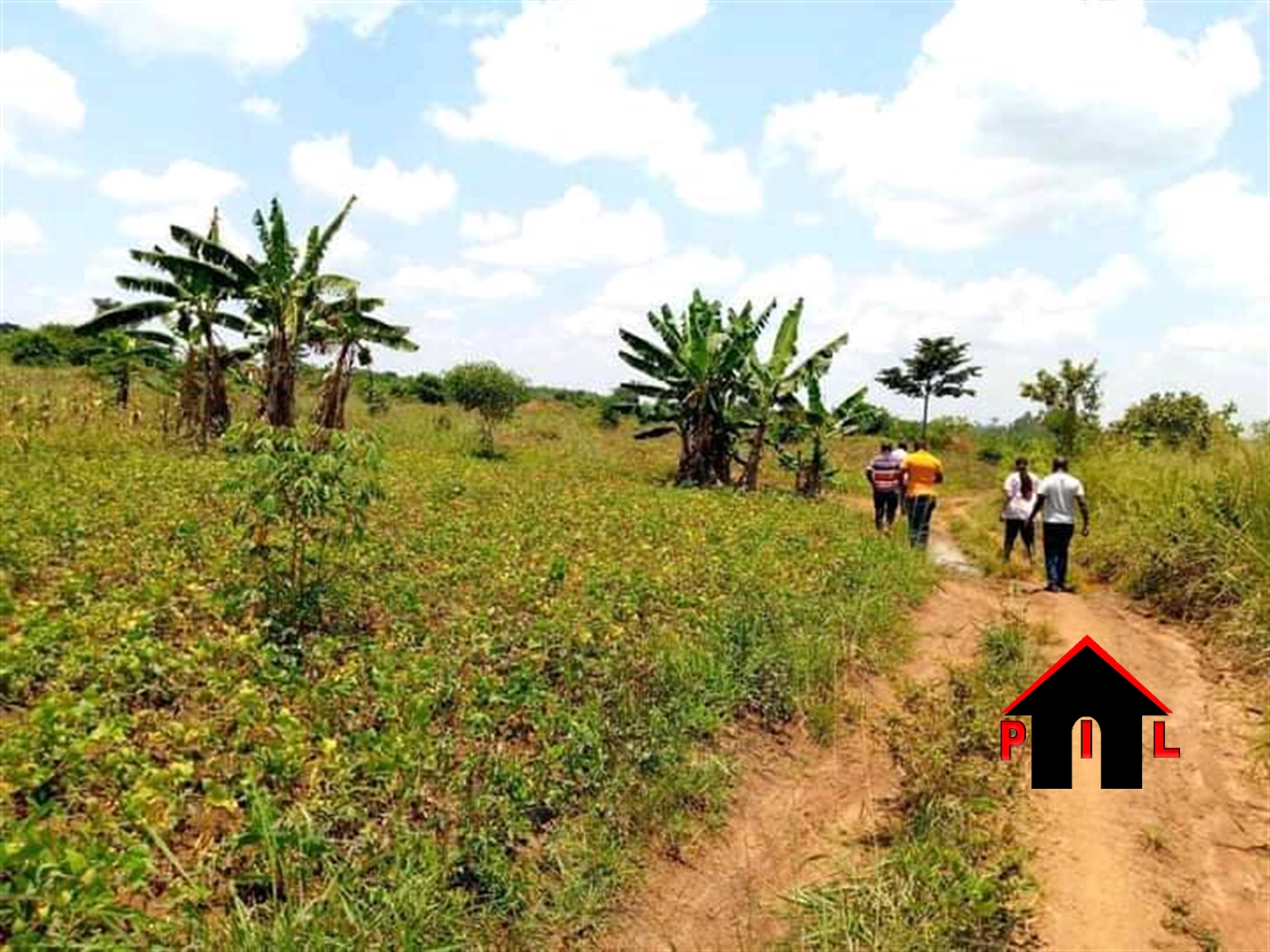 Agricultural Land for sale in Ziloobwe Luweero