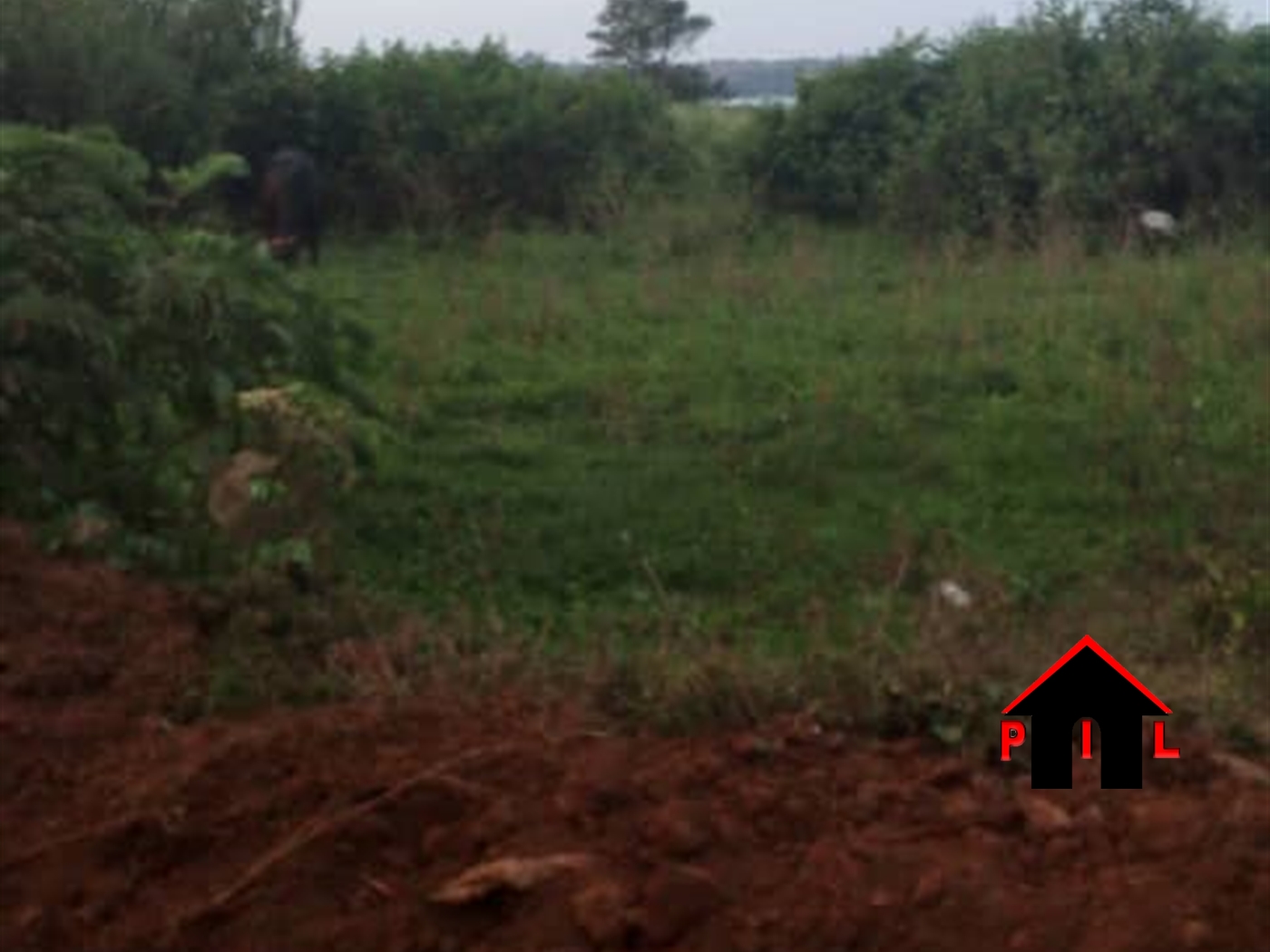 Commercial Land for sale in Busaabala Kampala