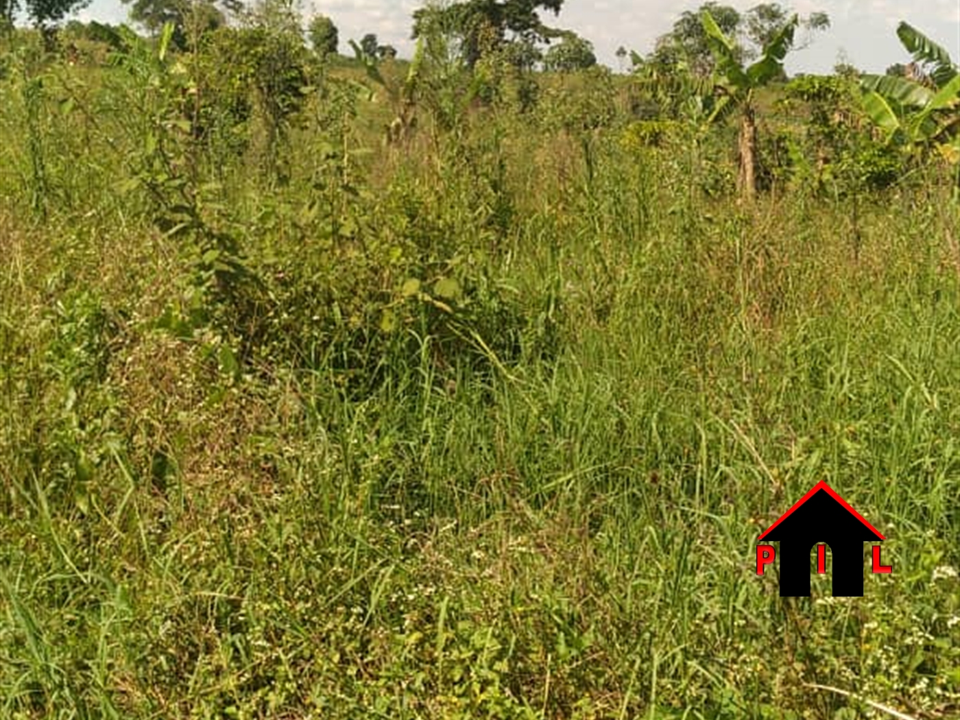 Agricultural Land for sale in Bukasa Wakiso