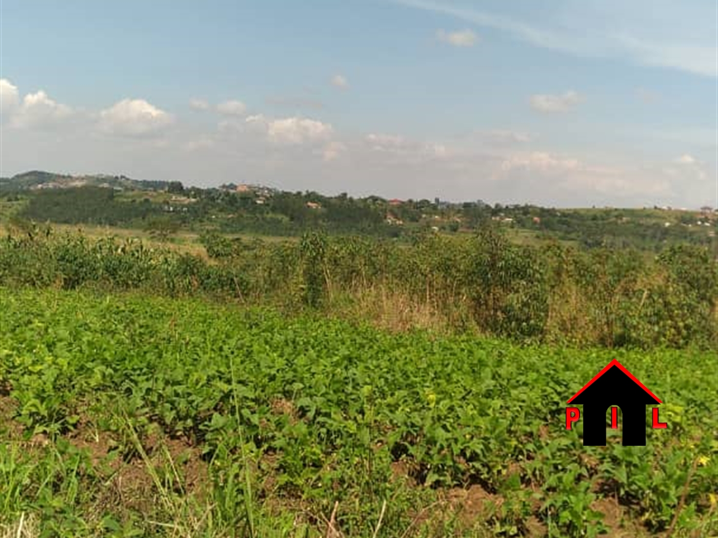 Agricultural Land for sale in Bukasa Wakiso