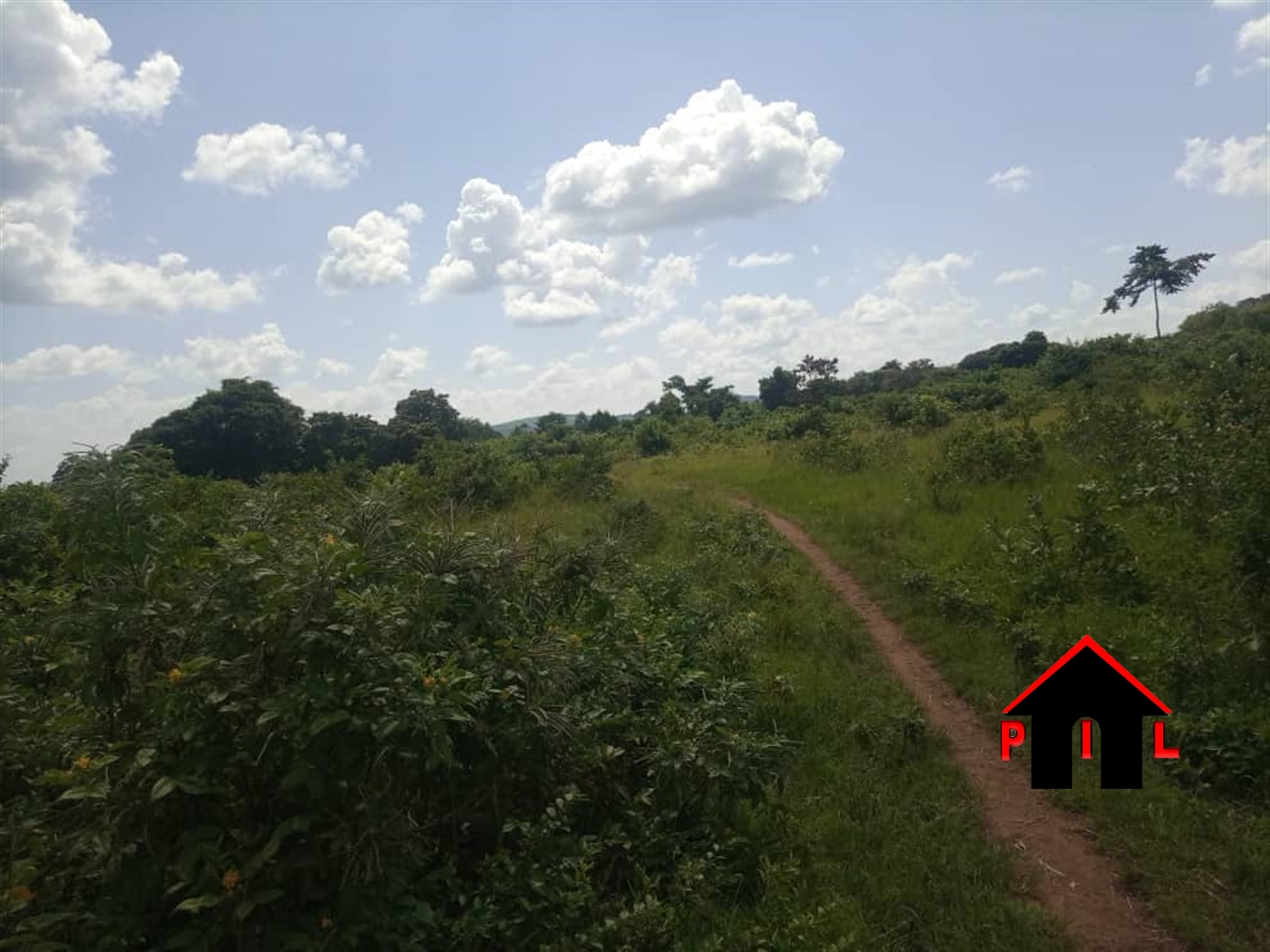 Agricultural Land for sale in Buyanja Hoima