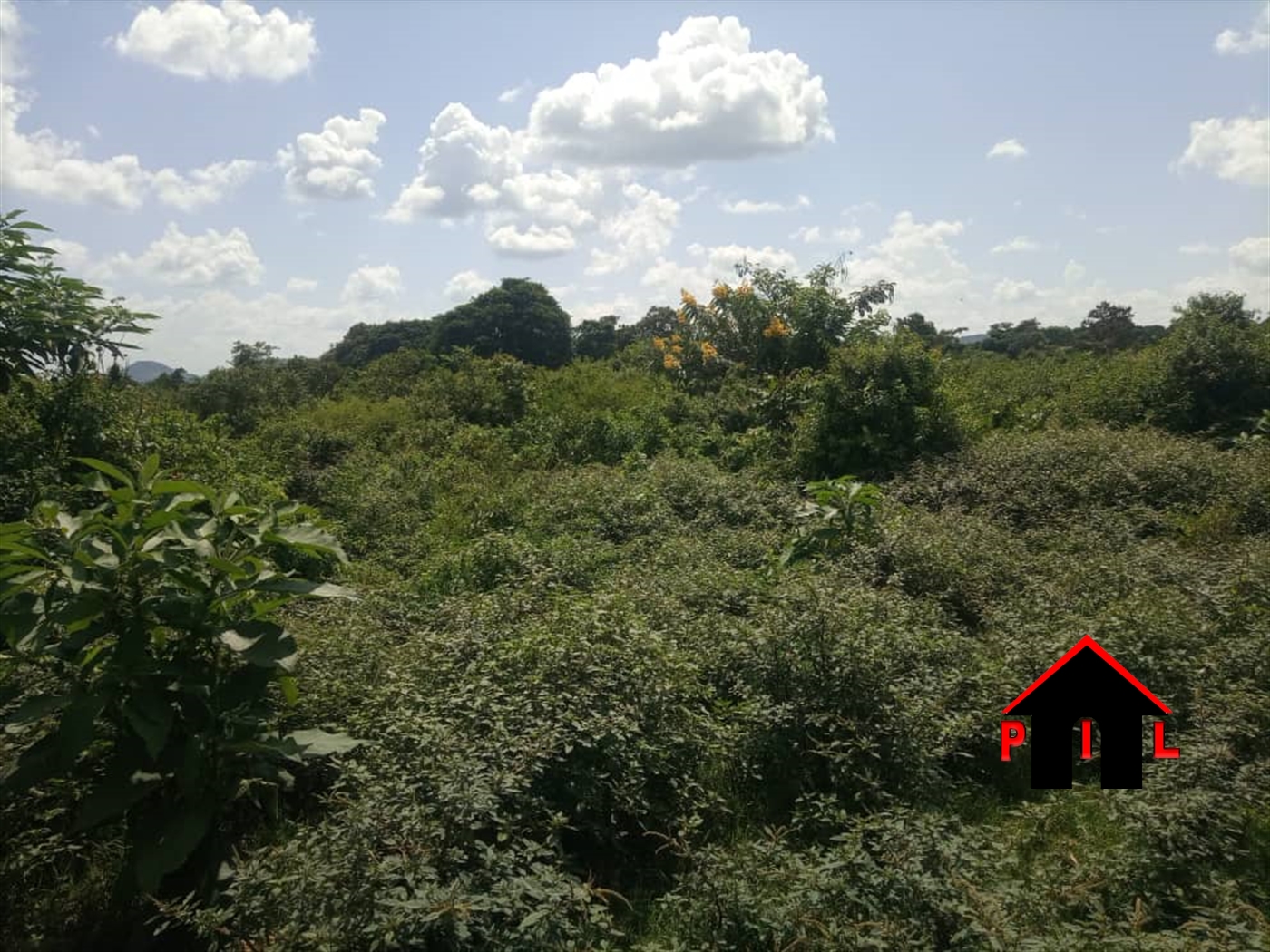 Agricultural Land for sale in Buyanja Hoima