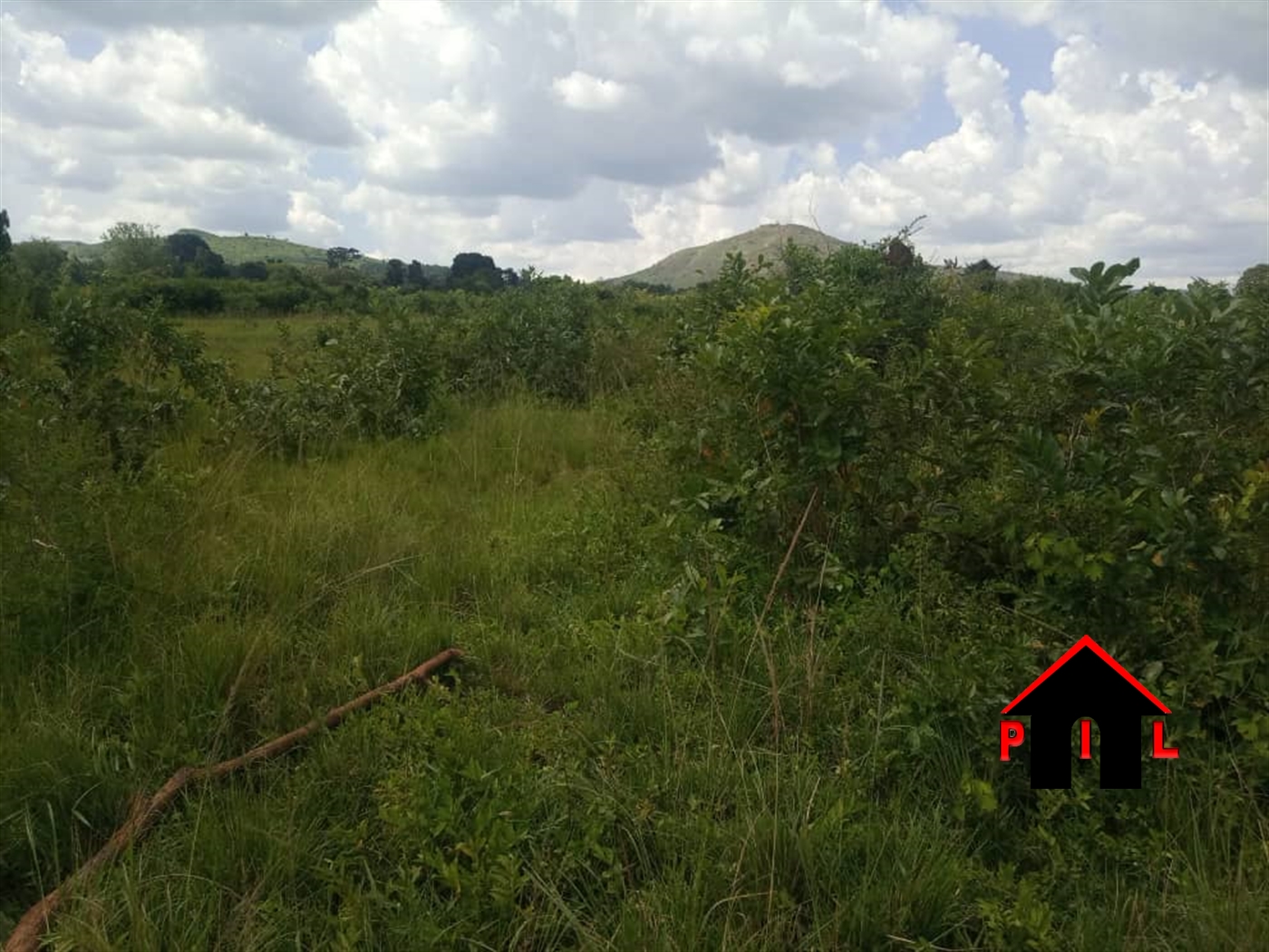 Agricultural Land for sale in Buyanja Hoima