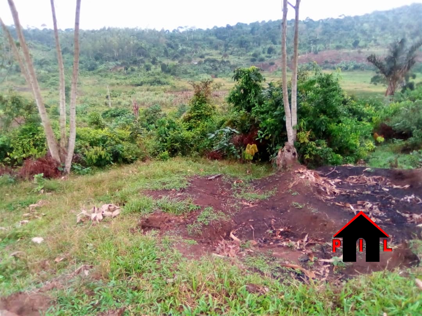 Agricultural Land for sale in Namukuma Buyikwe