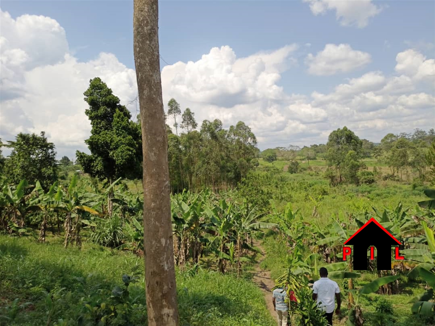 Agricultural Land for sale in Katosi Mukono