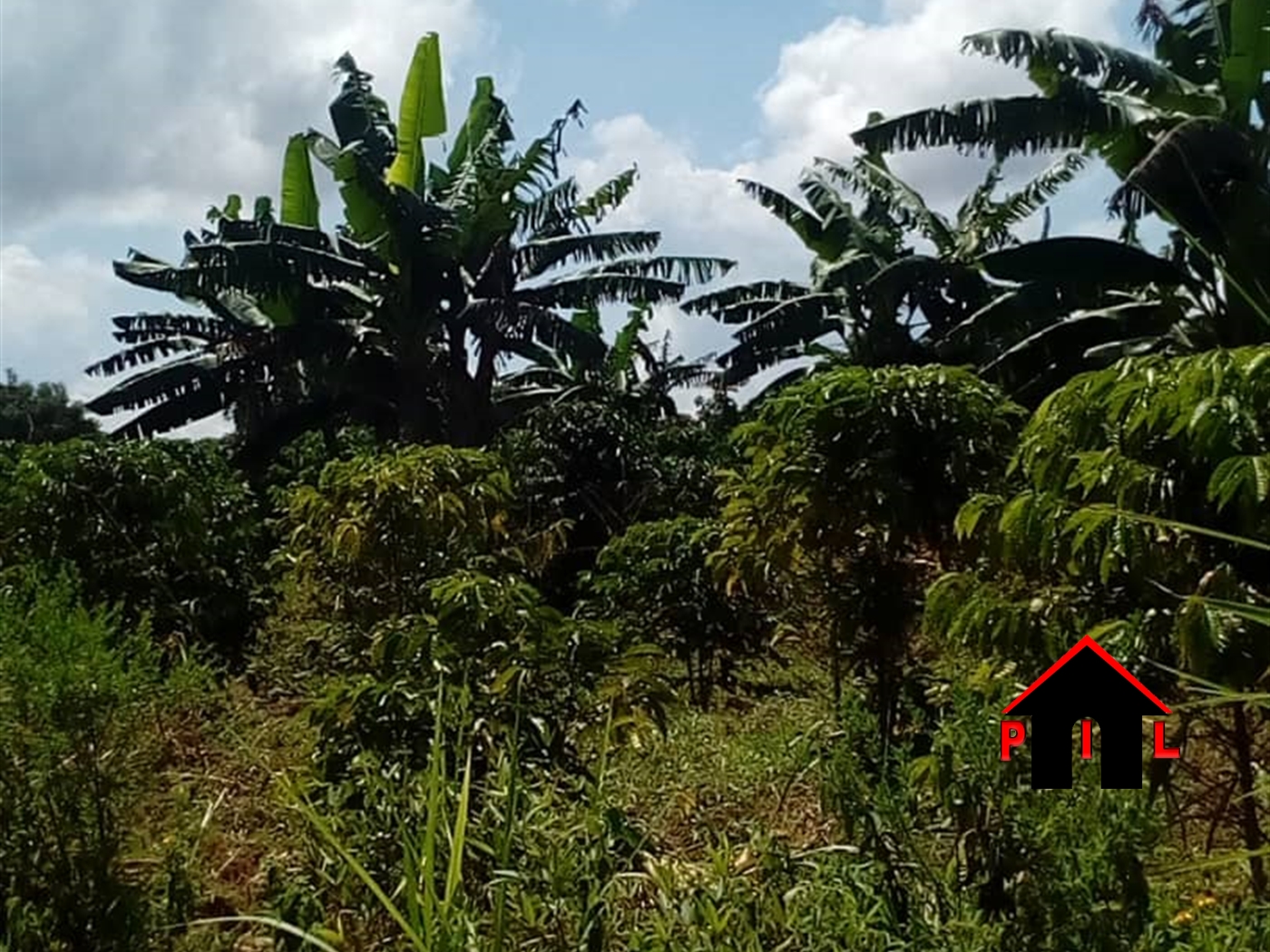 Residential Land for sale in Bugema Luweero