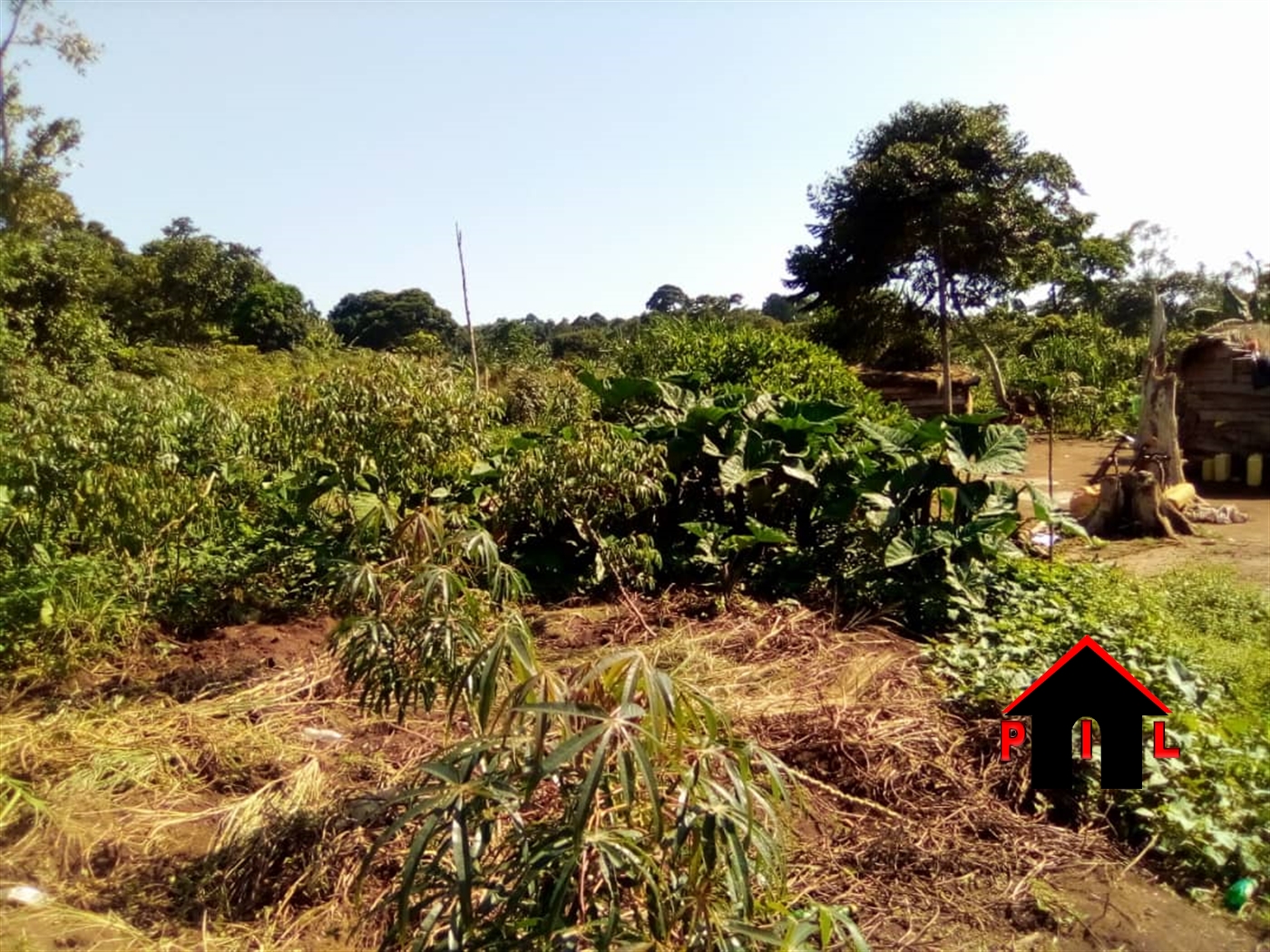 Residential Land for sale in Ssazi Wakiso