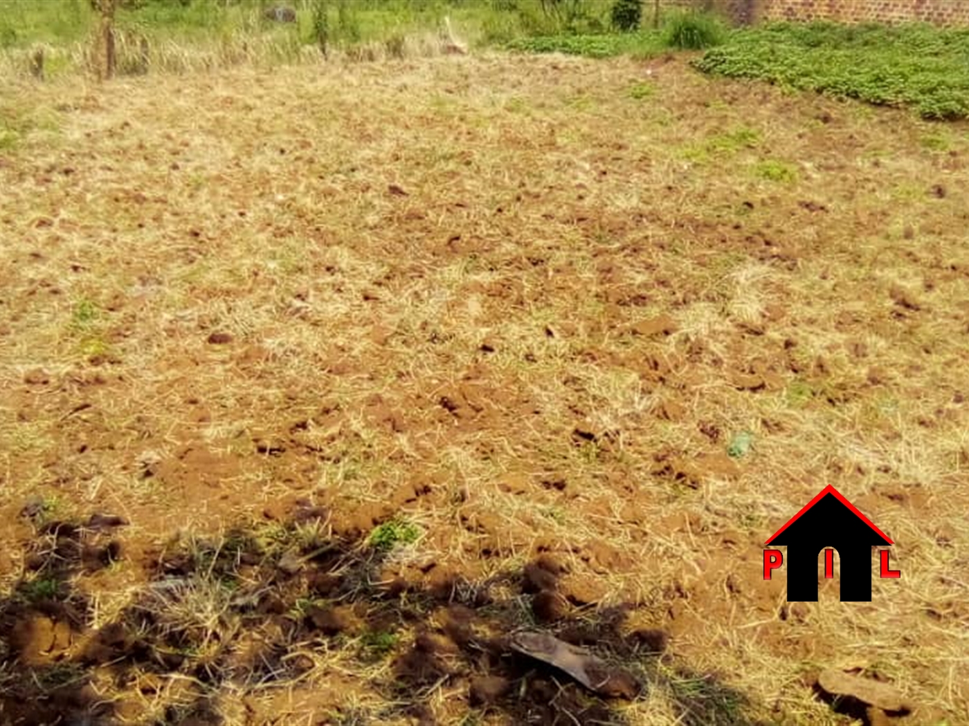 Agricultural Land for sale in Lukooge Nakasongola