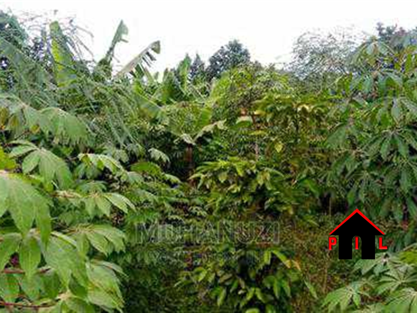 Residential Land for sale in Komamboga Wakiso