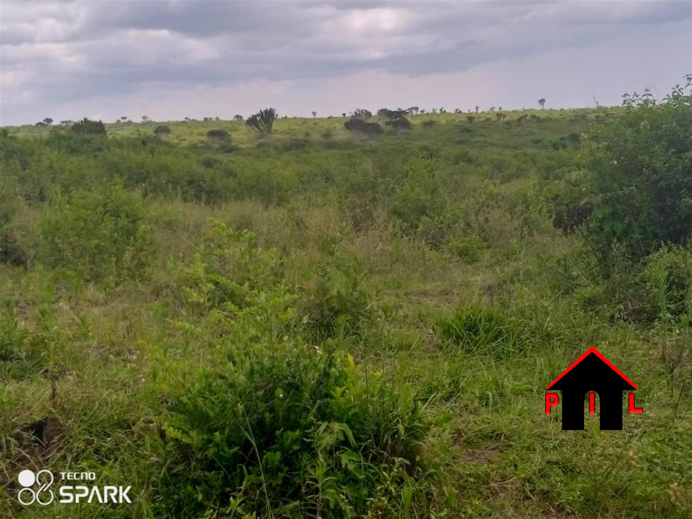 Agricultural Land for sale in Butalangu Nakaseke