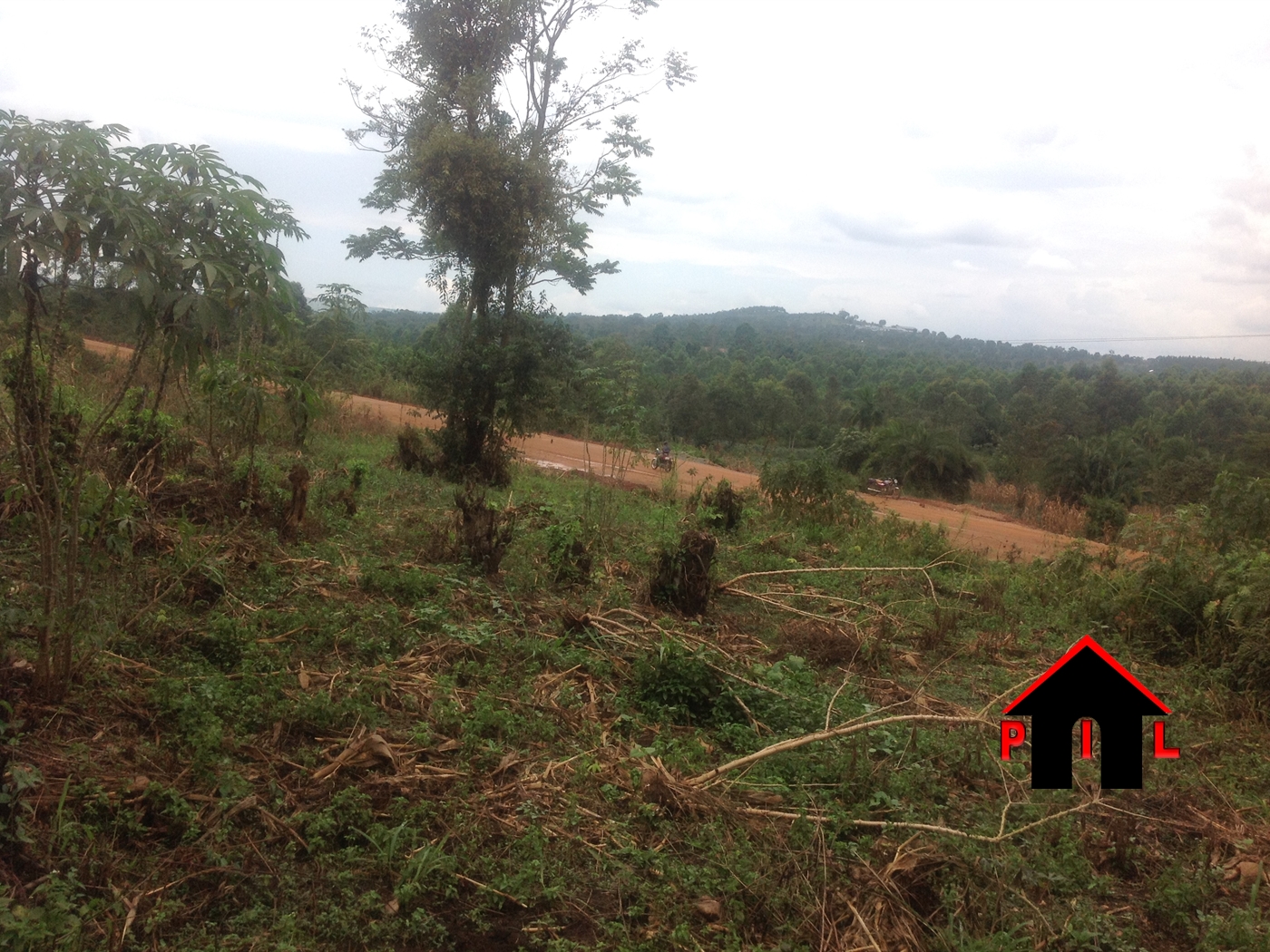 Agricultural Land for sale in Nkozi Mityana