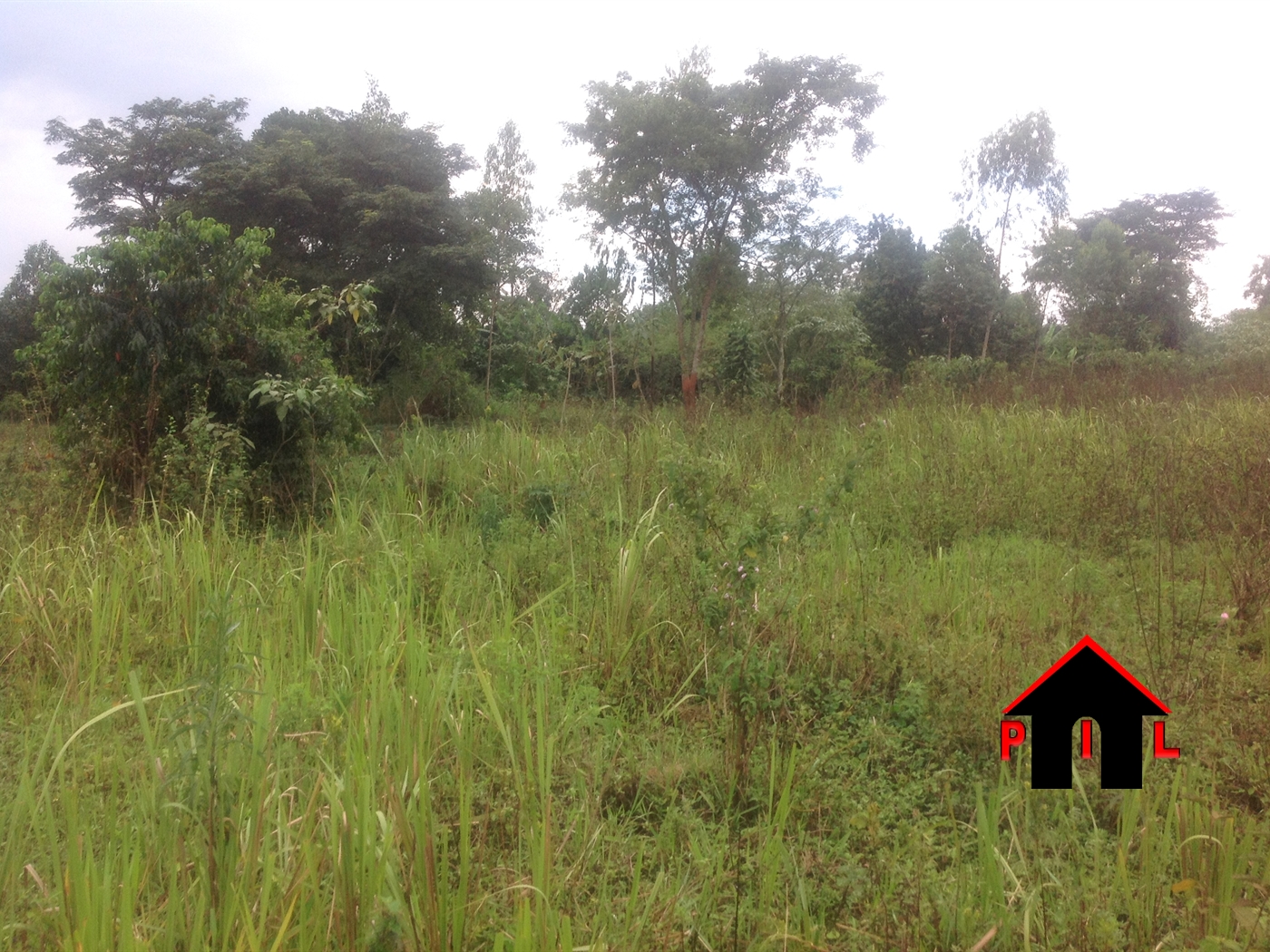 Agricultural Land for sale in Nkozi Mityana