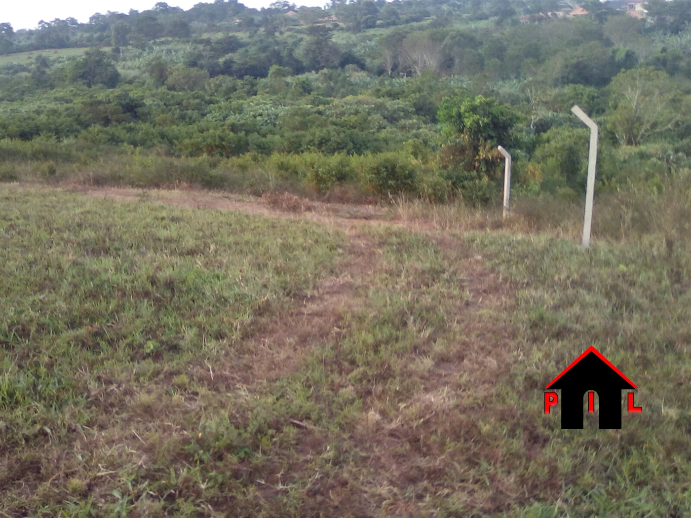 Agricultural Land for sale in Wobulenzi Luweero