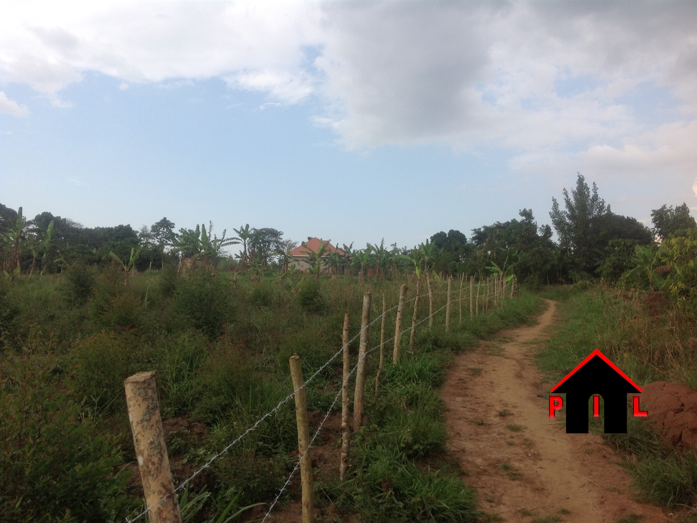 Agricultural Land for sale in Mazzi Luweero