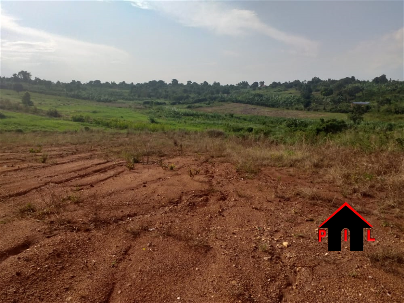 Agricultural Land for sale in Wabisweera Nakasongola