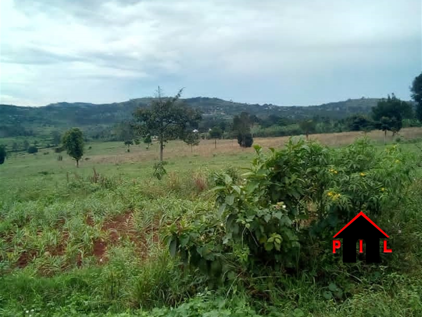 Agricultural Land for sale in Bukalasa Luweero