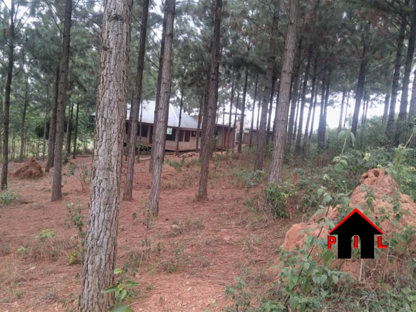 Agricultural Land for sale in Ssekanyonyi Mityana