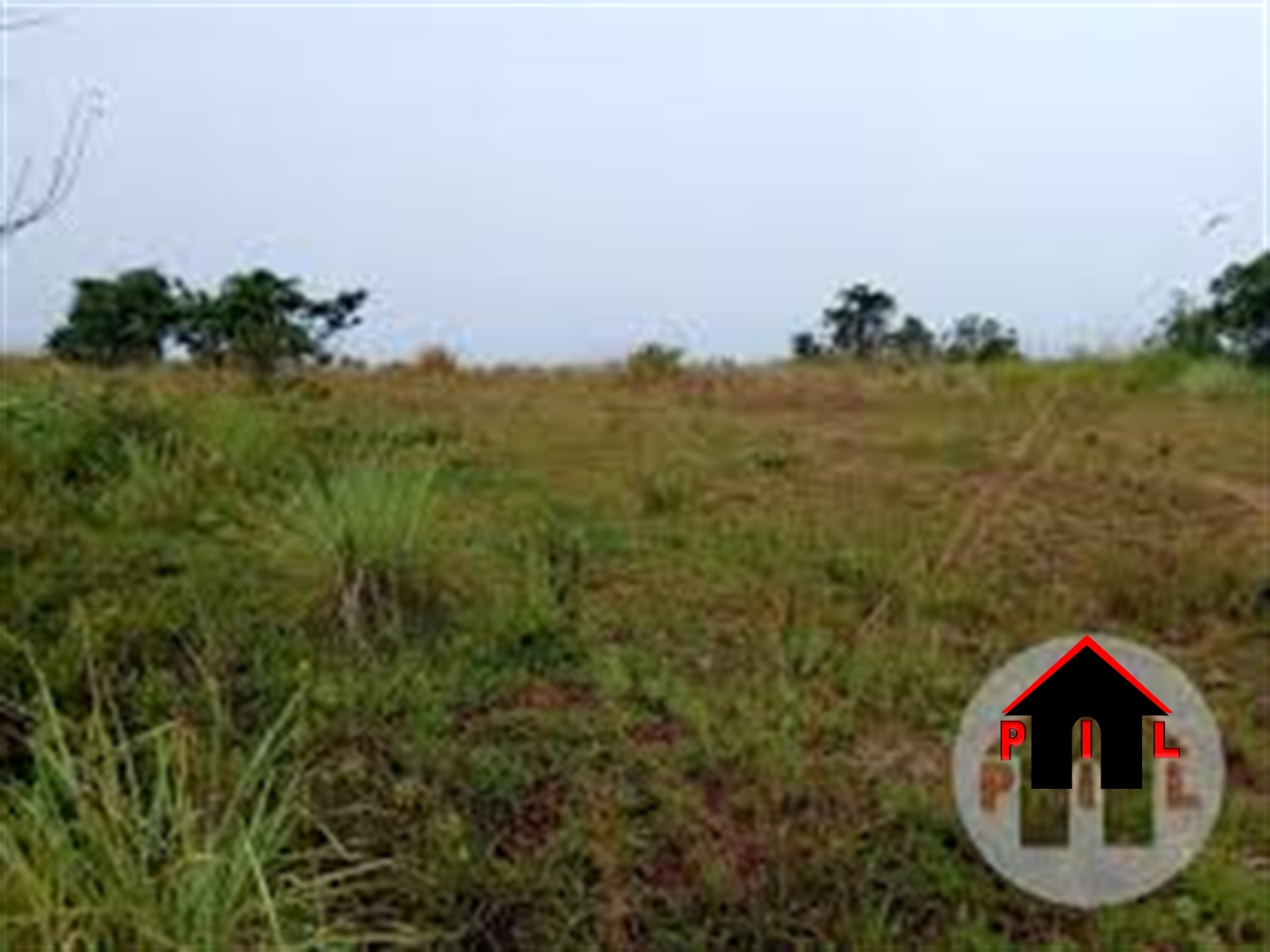 Agricultural Land for sale in Kifampa Gomba