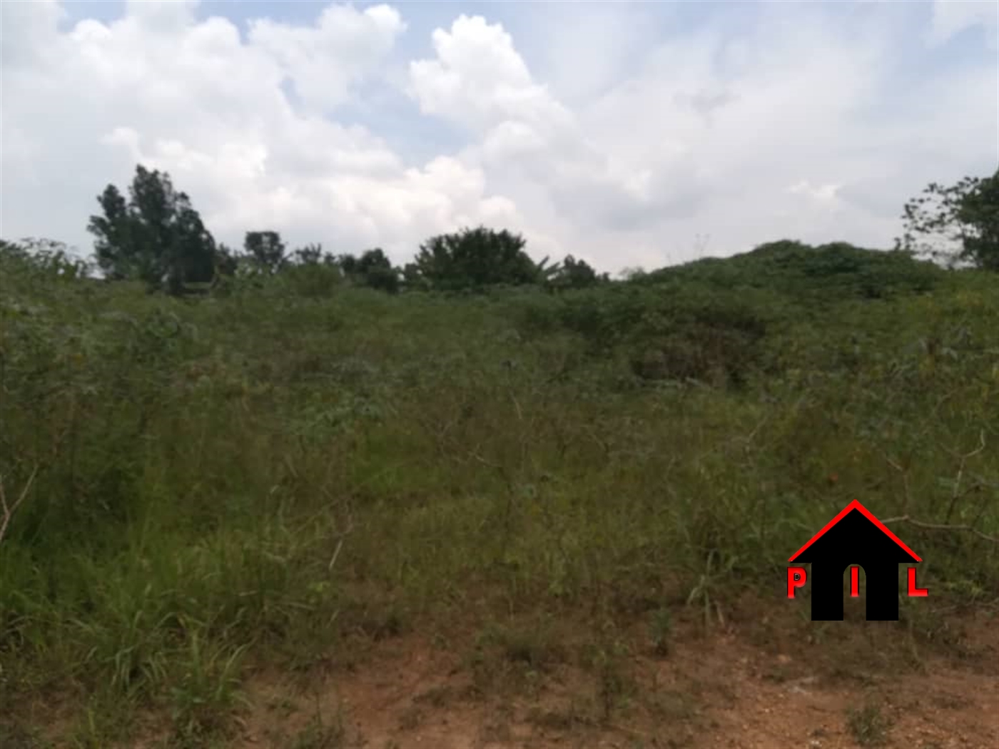 Agricultural Land for sale in Bukuya Mubende