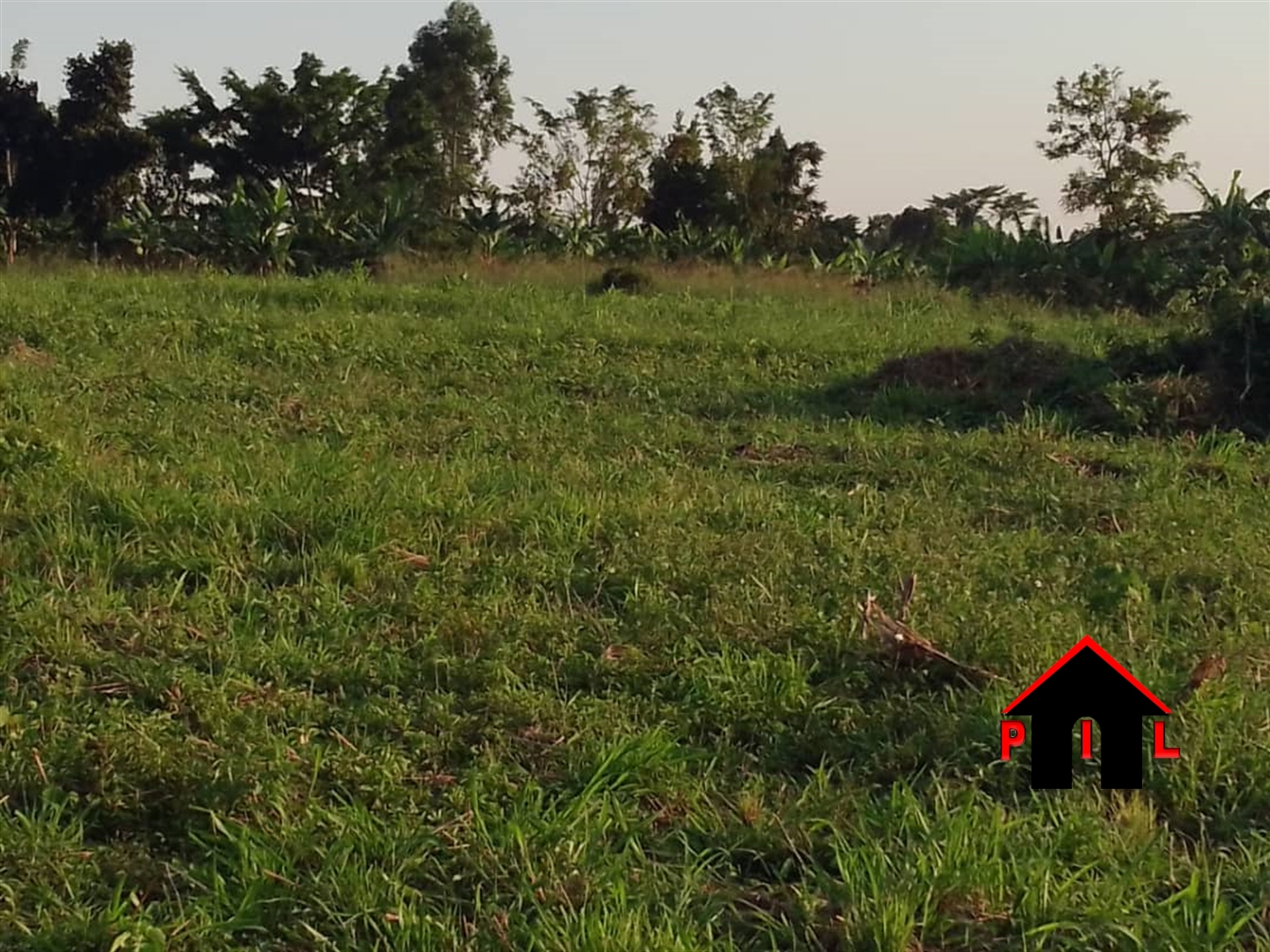 Agricultural Land for sale in Butalangu Nakaseke