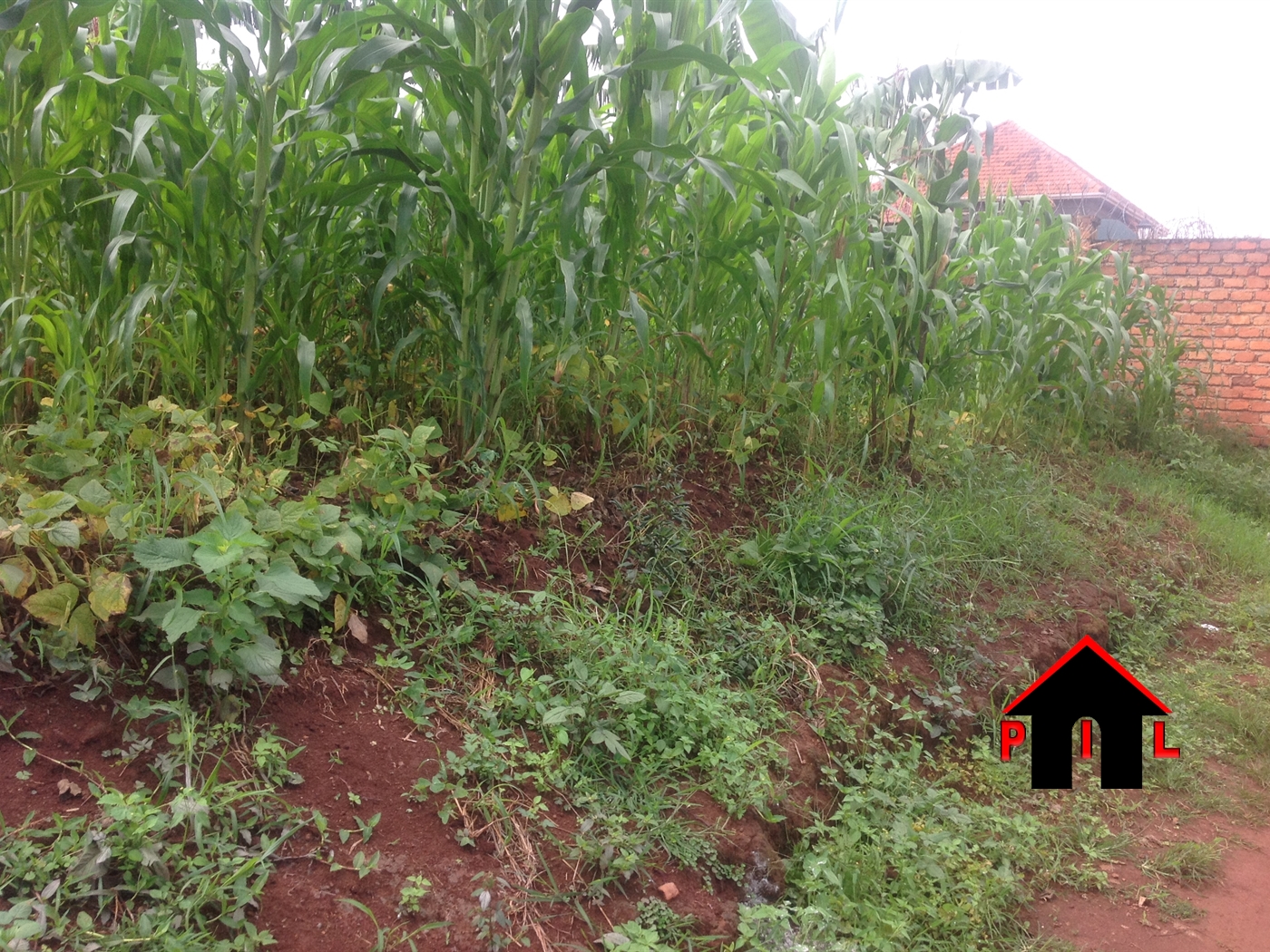 Residential Land for sale in Nakweelo Wakiso