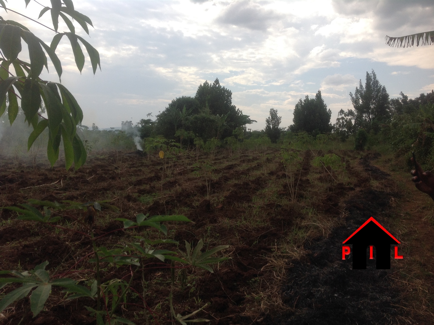 Agricultural Land for sale in Kikyusa Luweero