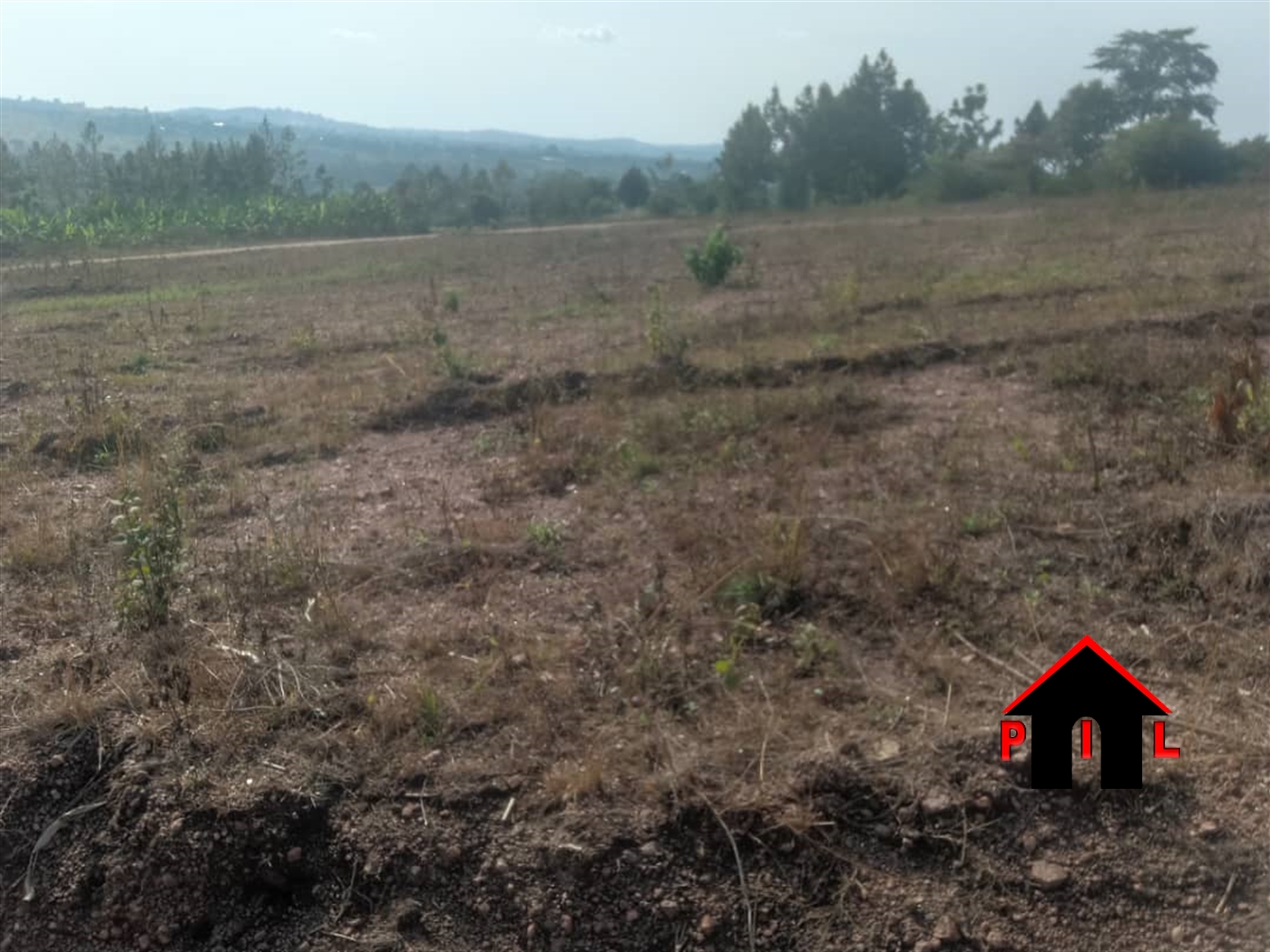 Agricultural Land for sale in Lunyolya Luweero