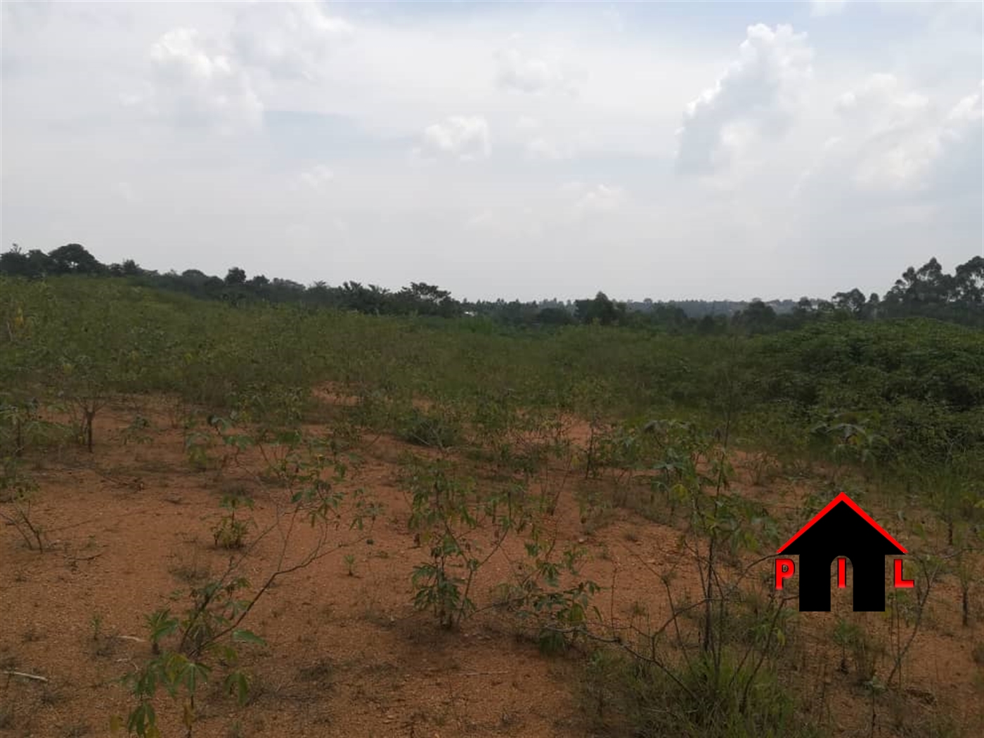 Agricultural Land for sale in Lukiizi Luweero