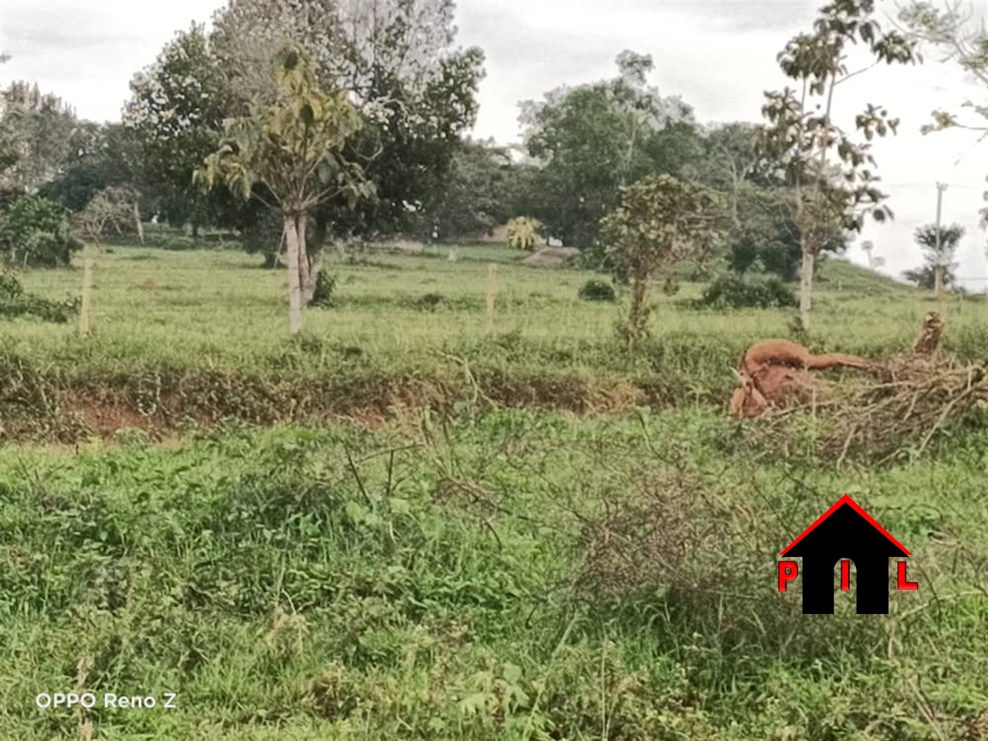 Residential Land for sale in Kakuuto Luweero