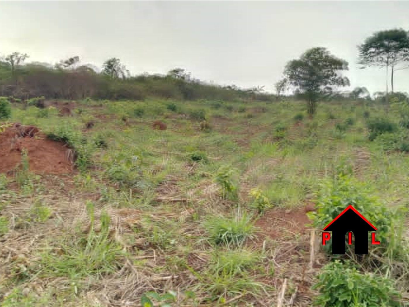 Agricultural Land for sale in Lukiizi Luweero