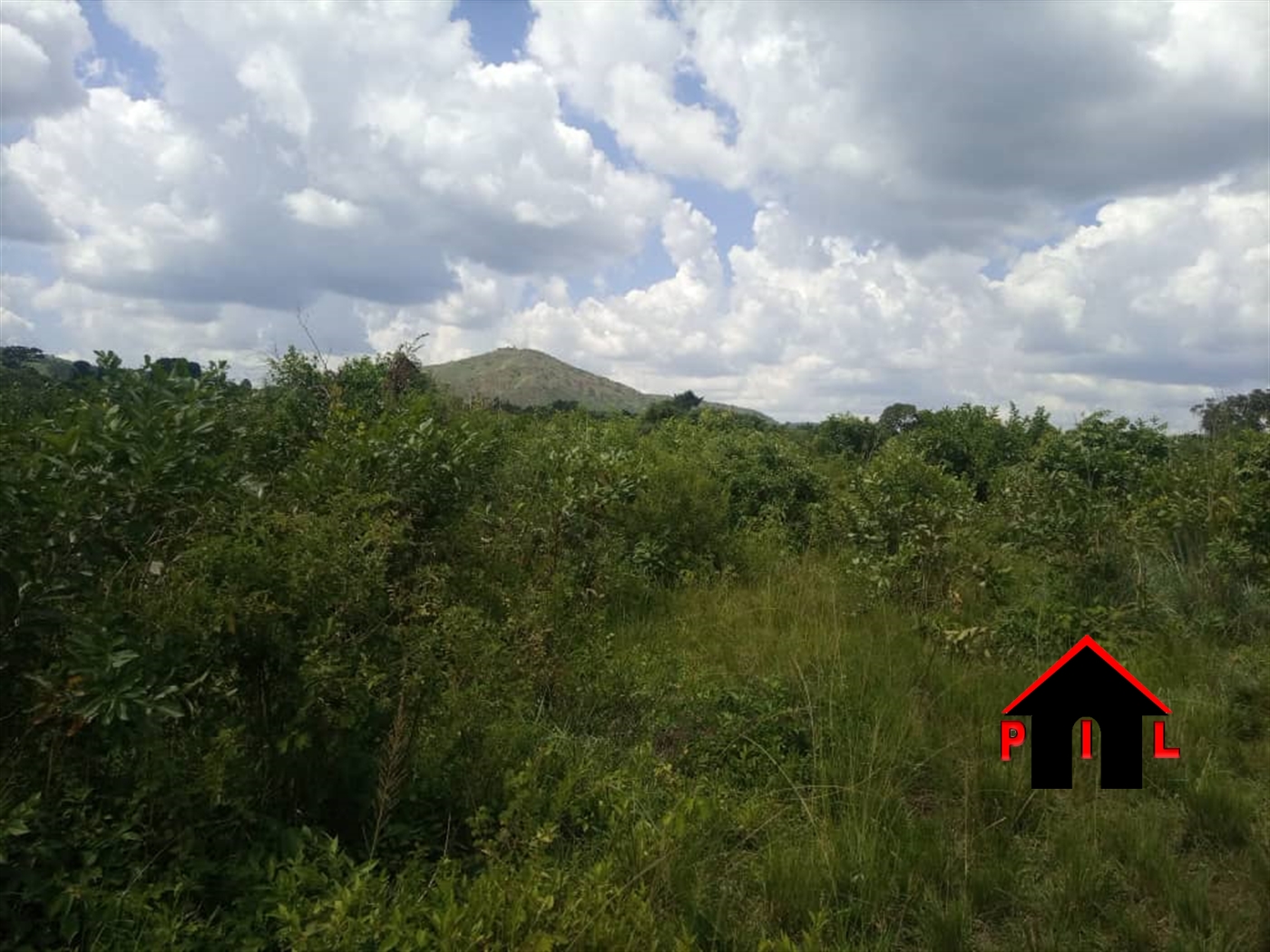 Residential Land for sale in Sonde Mukono