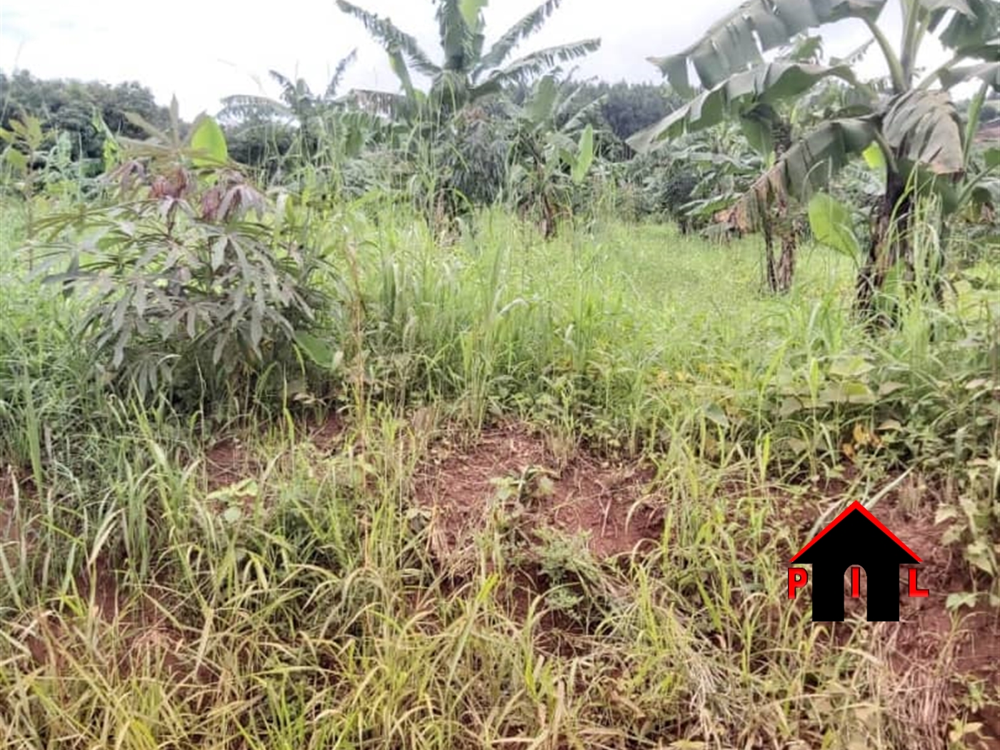 Residential Land for sale in Kasanjje Kalungu